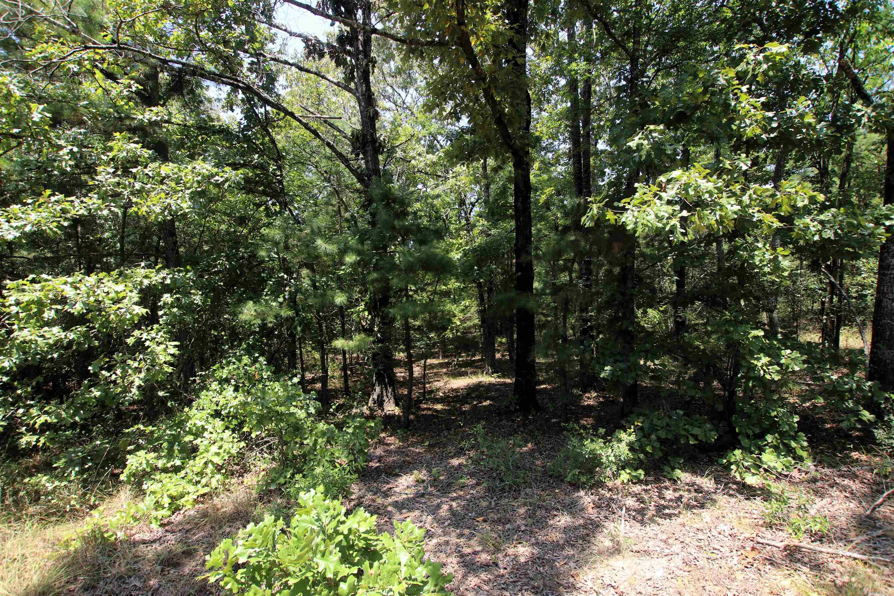 000 Us Smith Road Property Photo 15