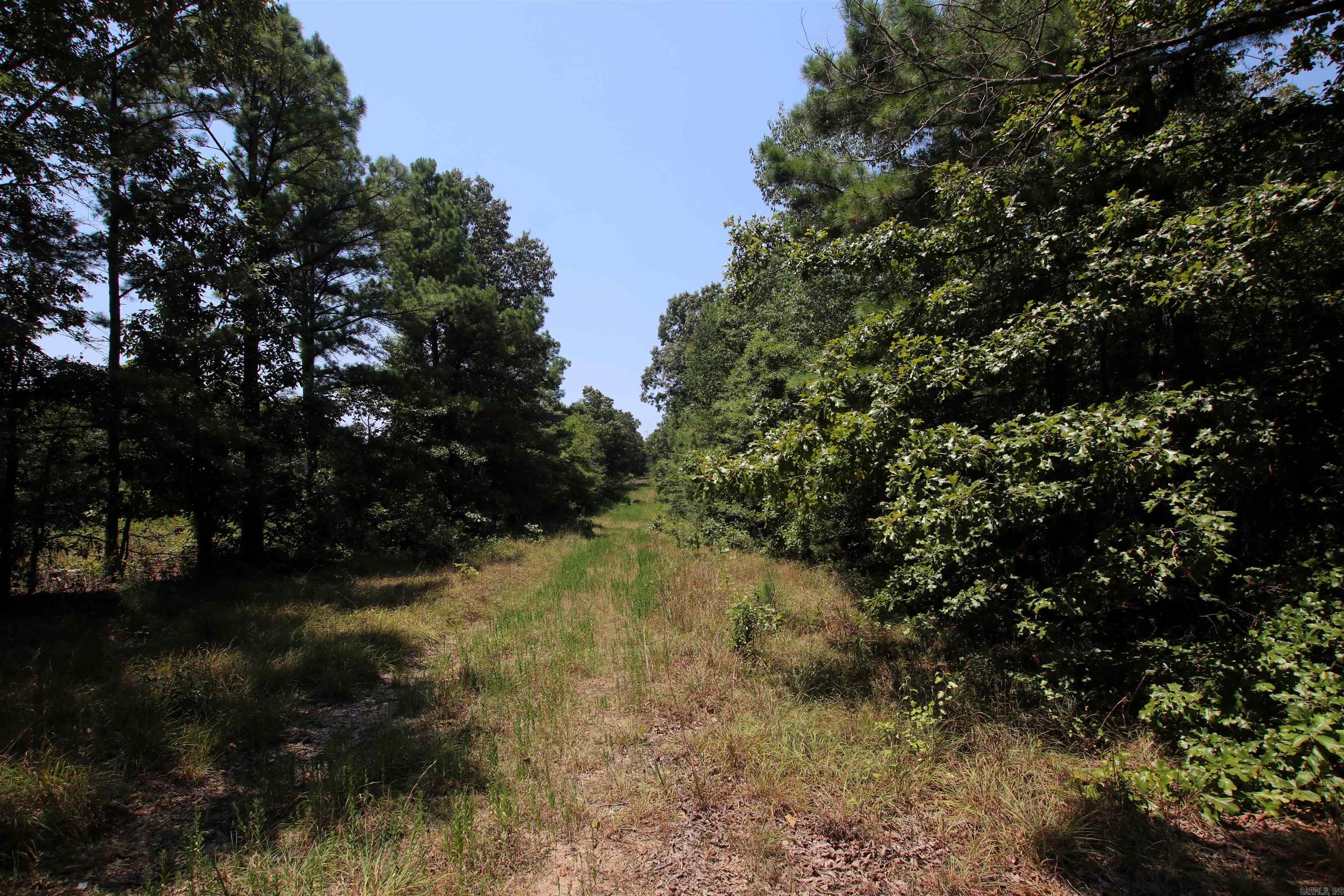 000 Us Smith Road Property Photo 17