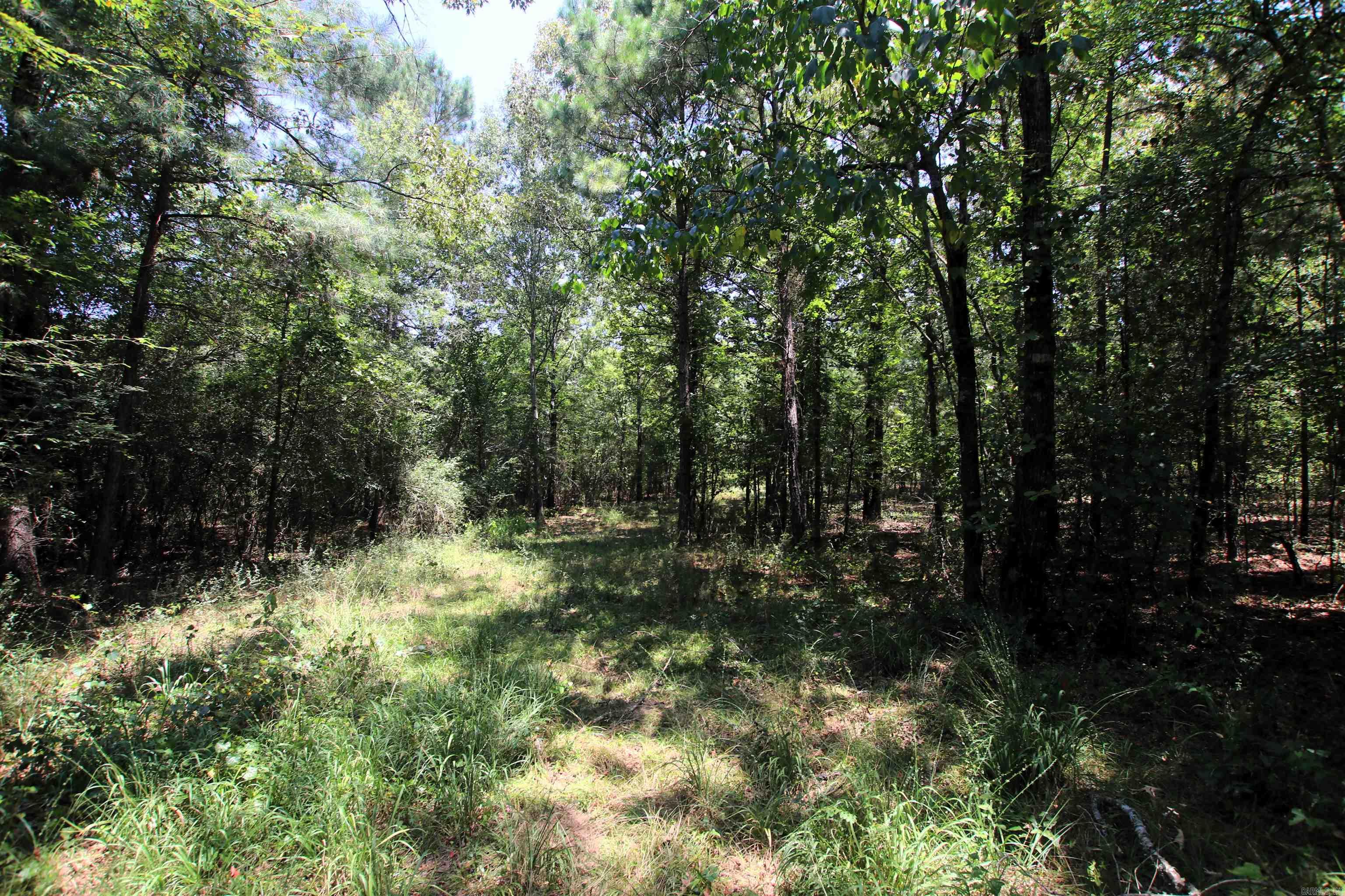 000 Us Smith Road Property Photo 18