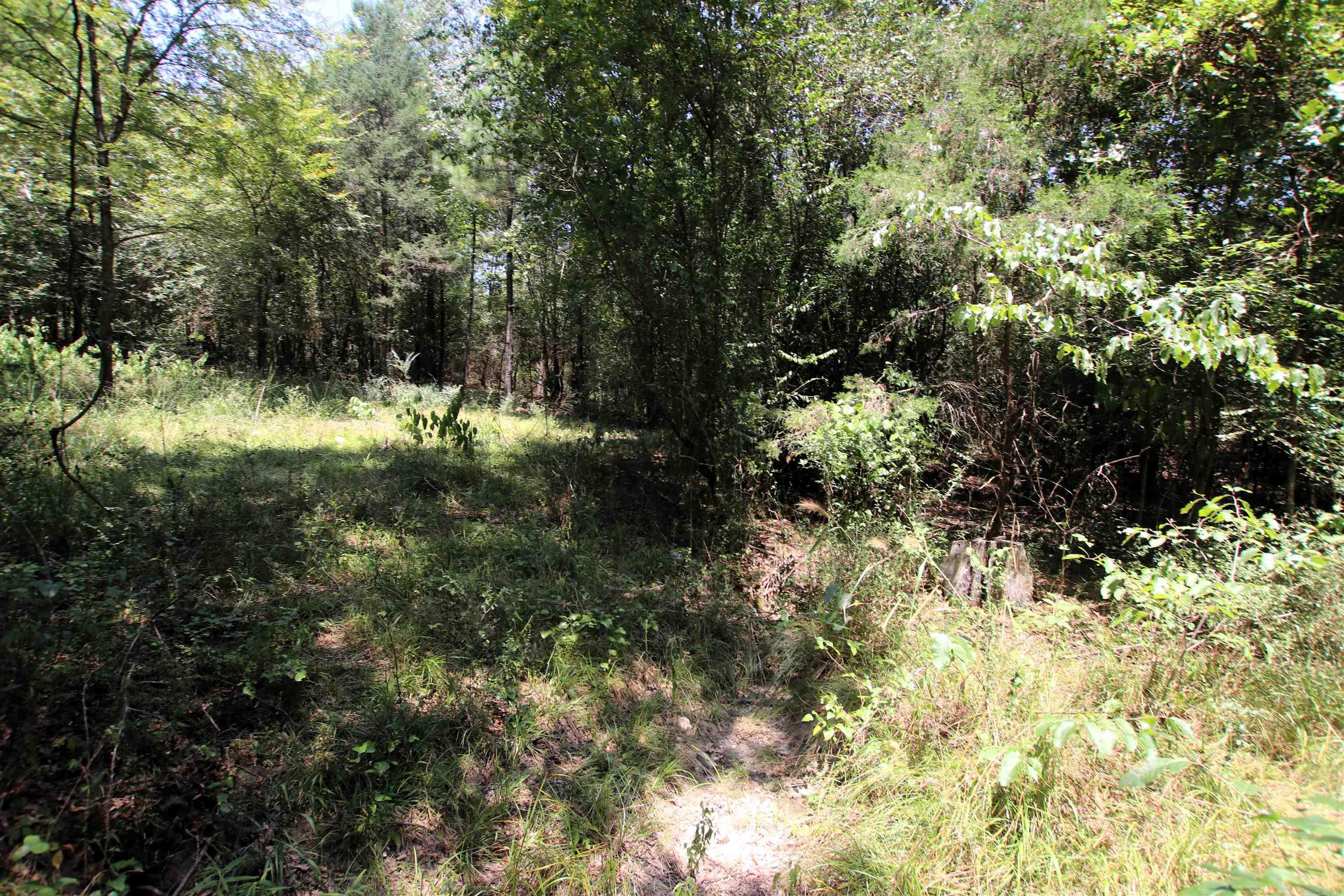 000 Us Smith Road Property Photo 19