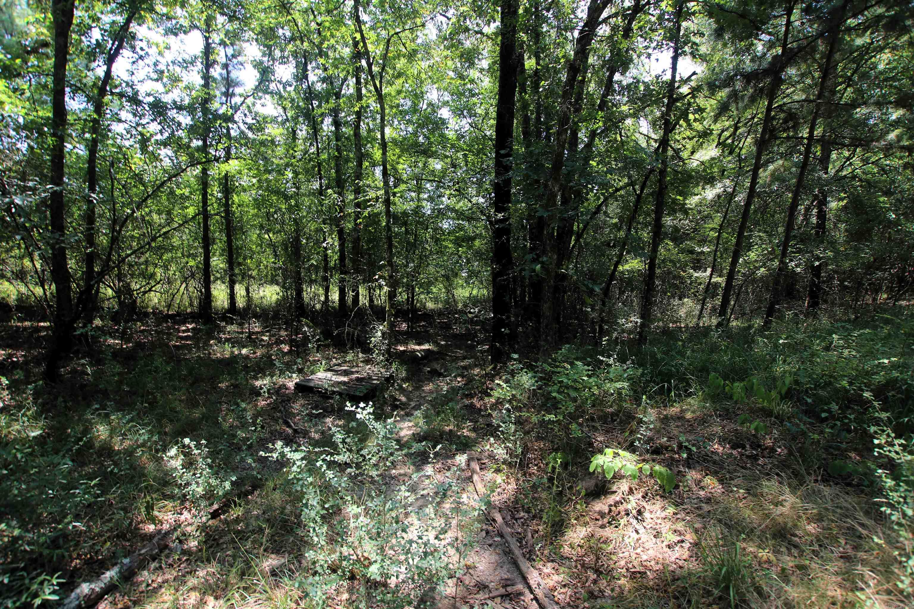 000 Us Smith Road Property Photo 20