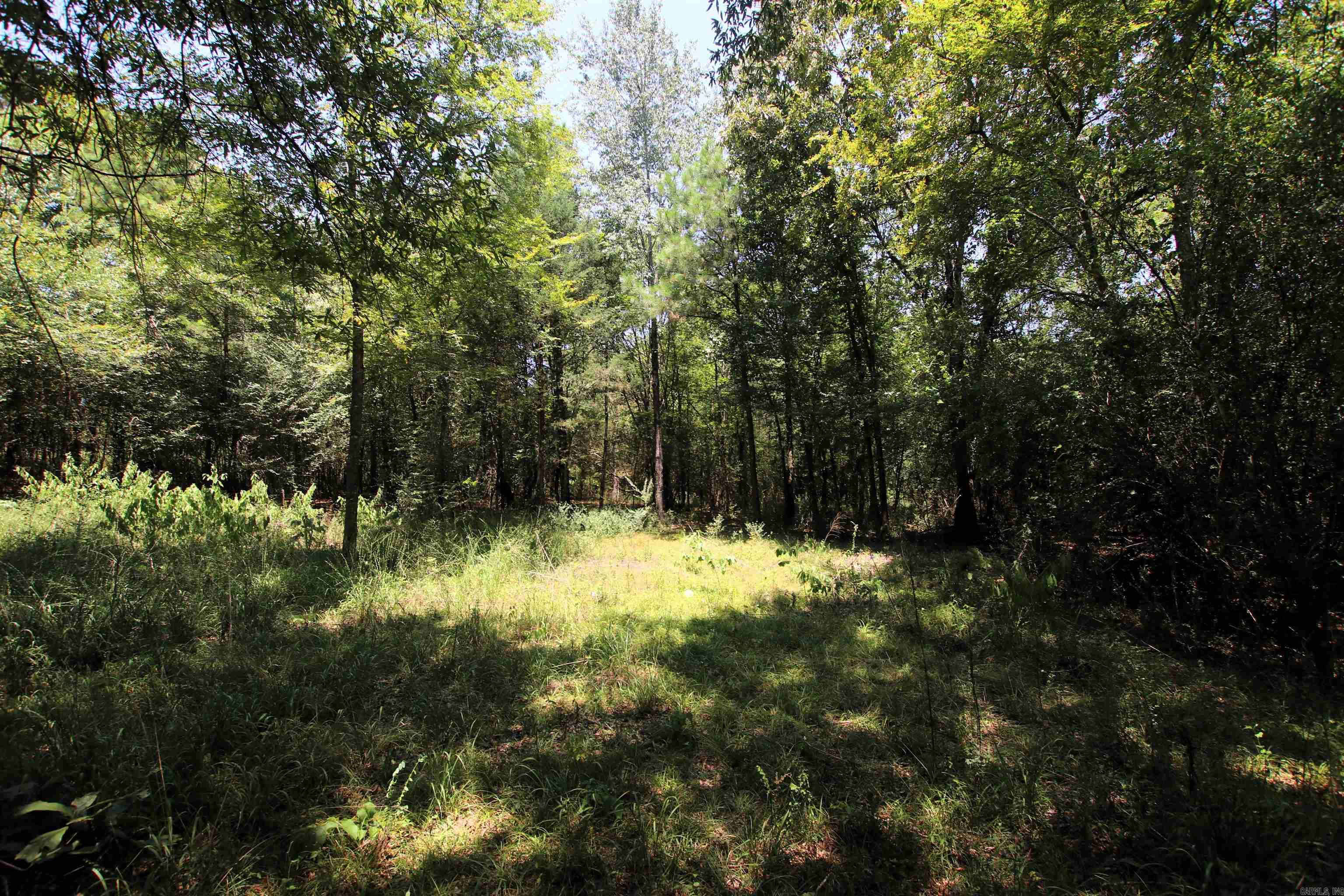 000 Us Smith Road Property Photo 21