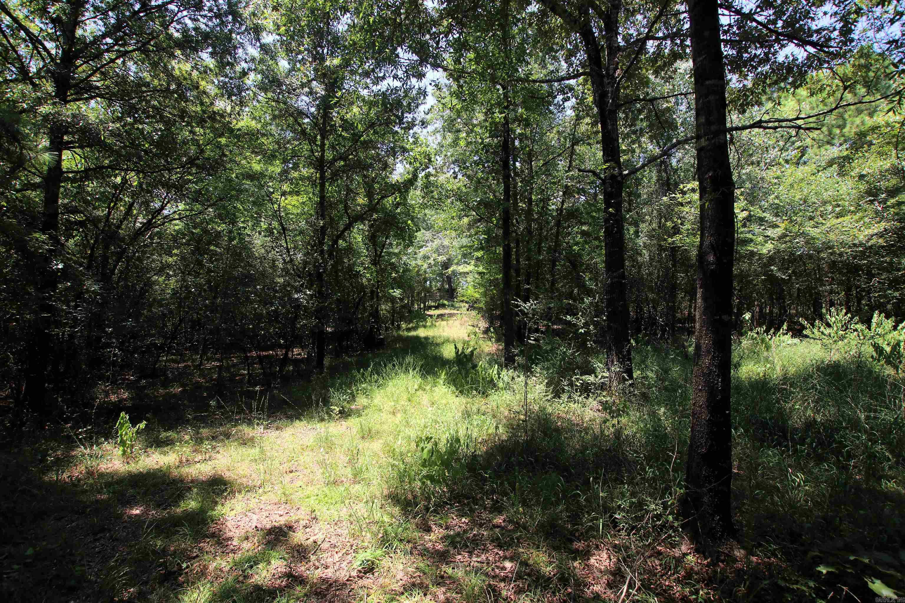 000 Us Smith Road Property Photo 22