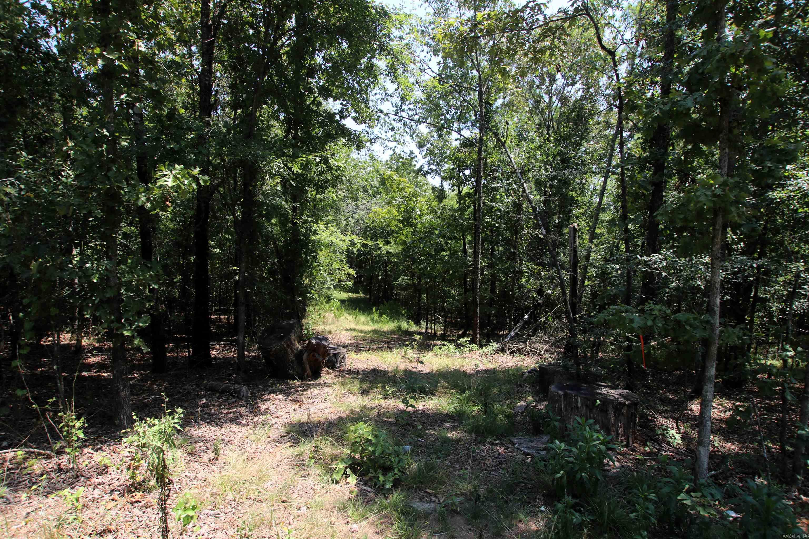 000 Us Smith Road Property Photo 23