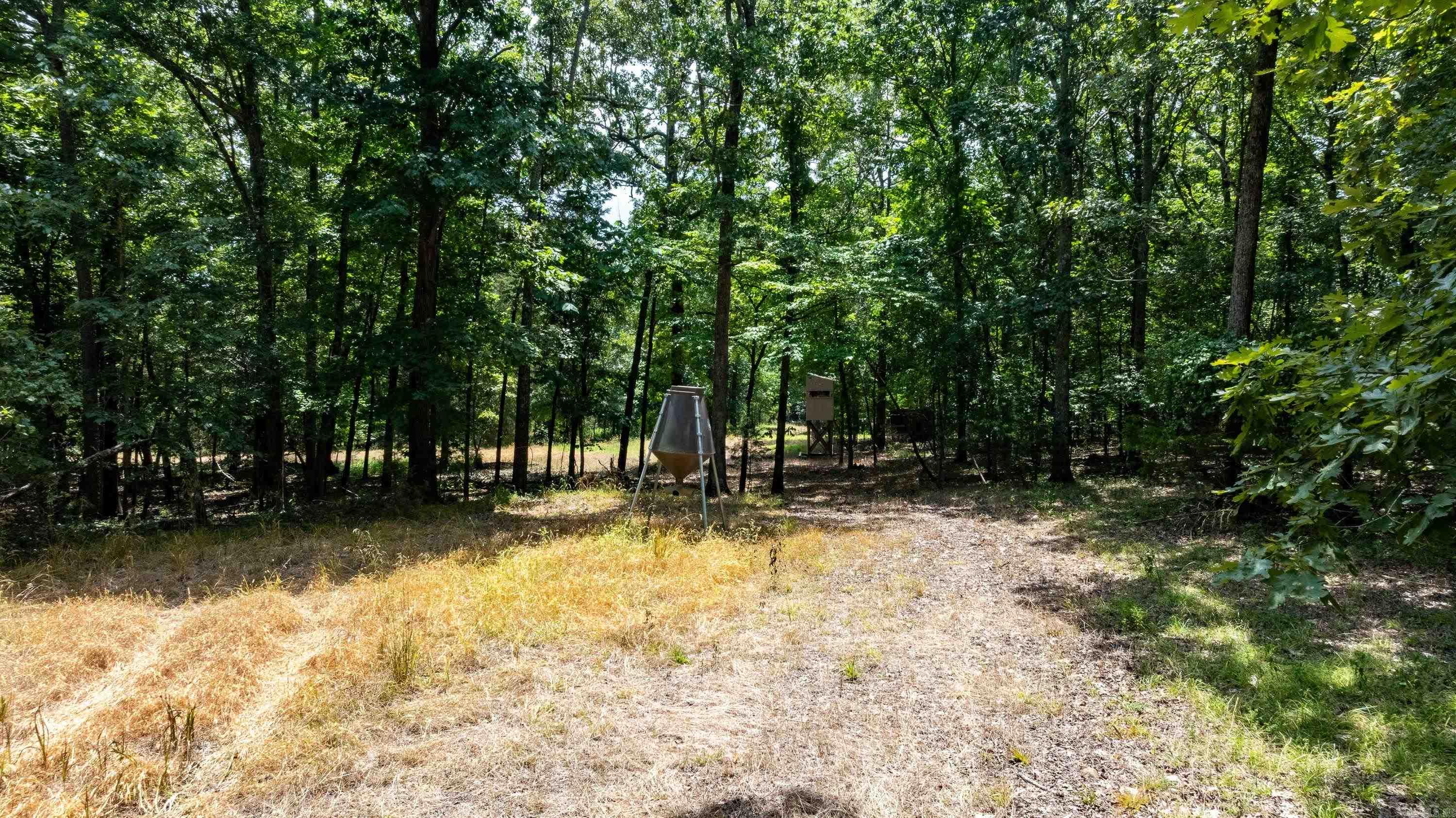 0 Northwoods N Lane Property Photo 6