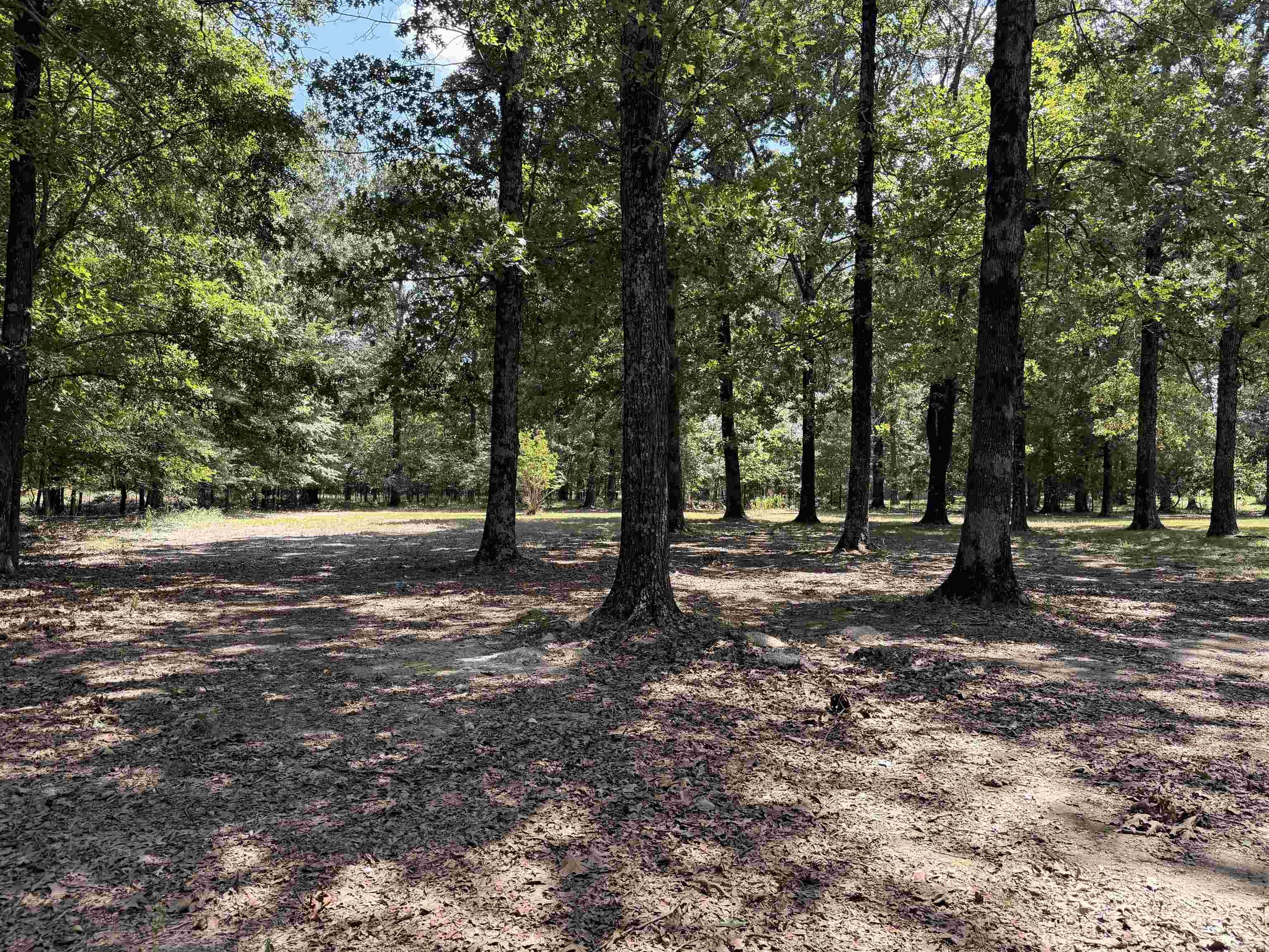 2100 Greene 514 Road Property Photo 26