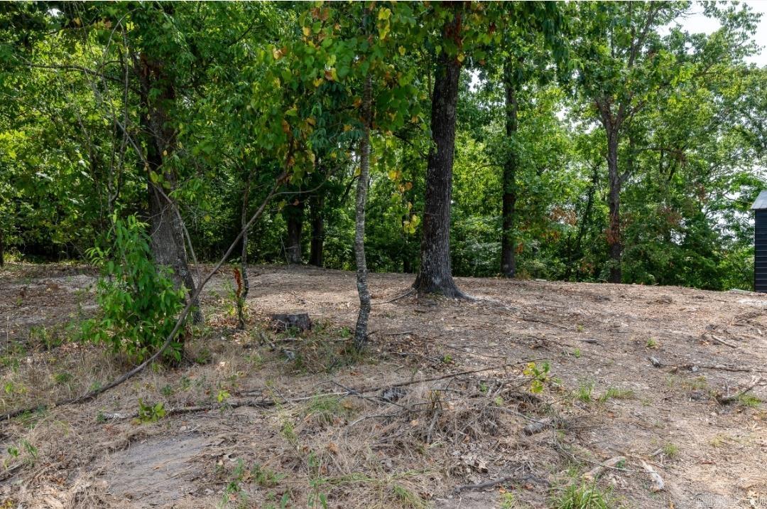Lot 29 A Spring Road Property Photo 2