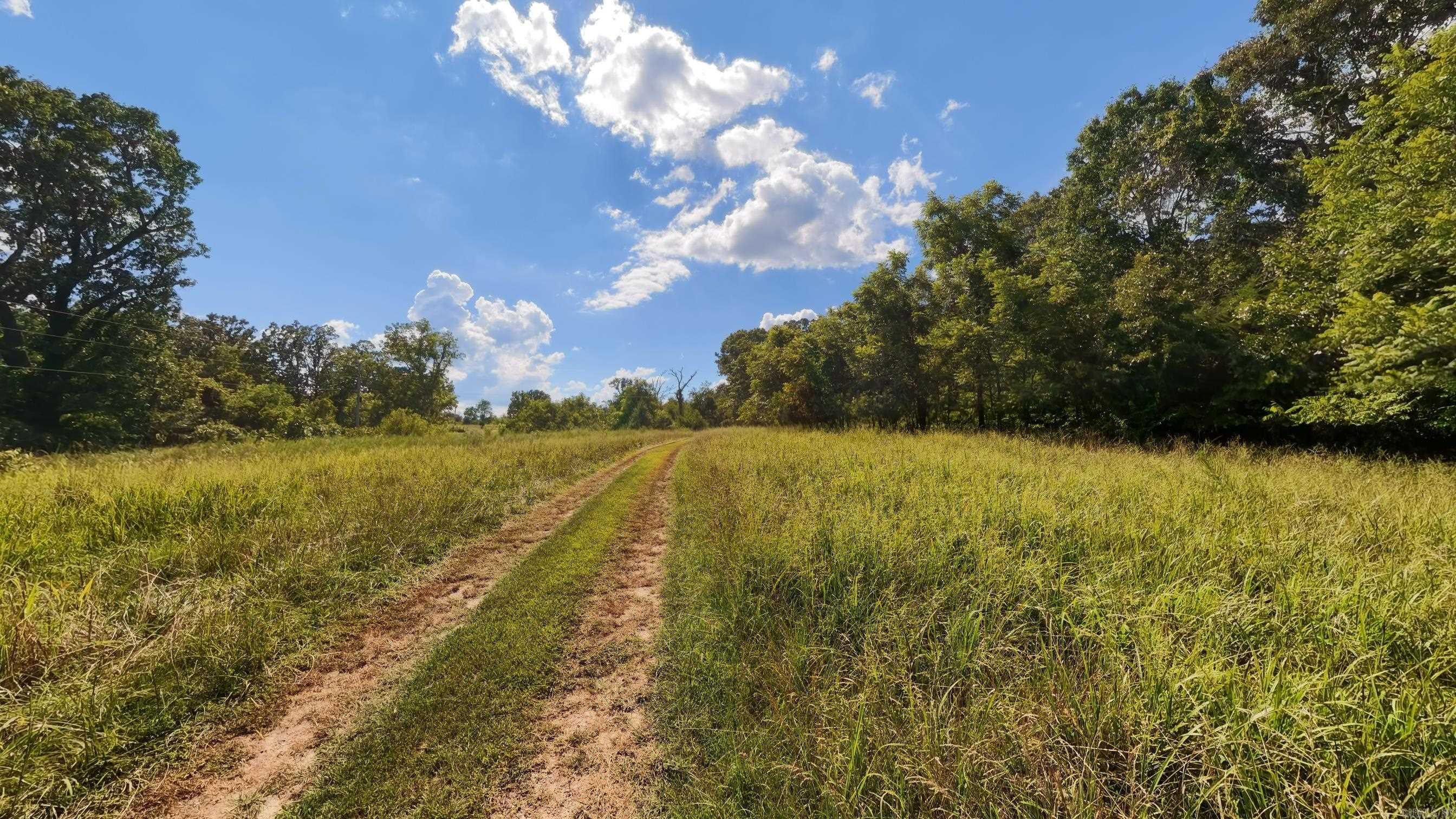 310 County Road 343 Property Photo 41