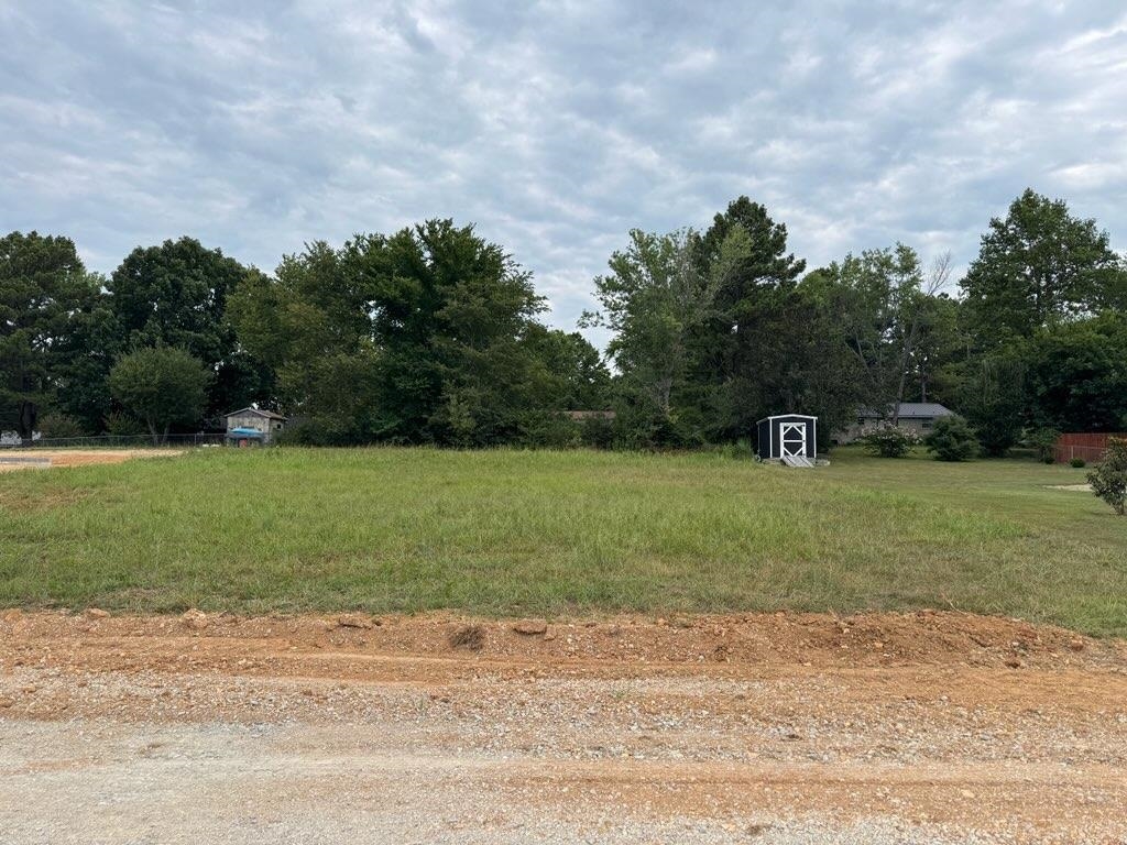 Tbd Pinedale Dr Property Photo 1