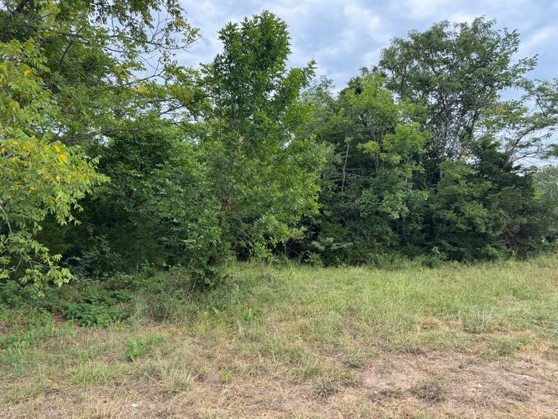 Tbd Pinedale Dr Property Photo 1