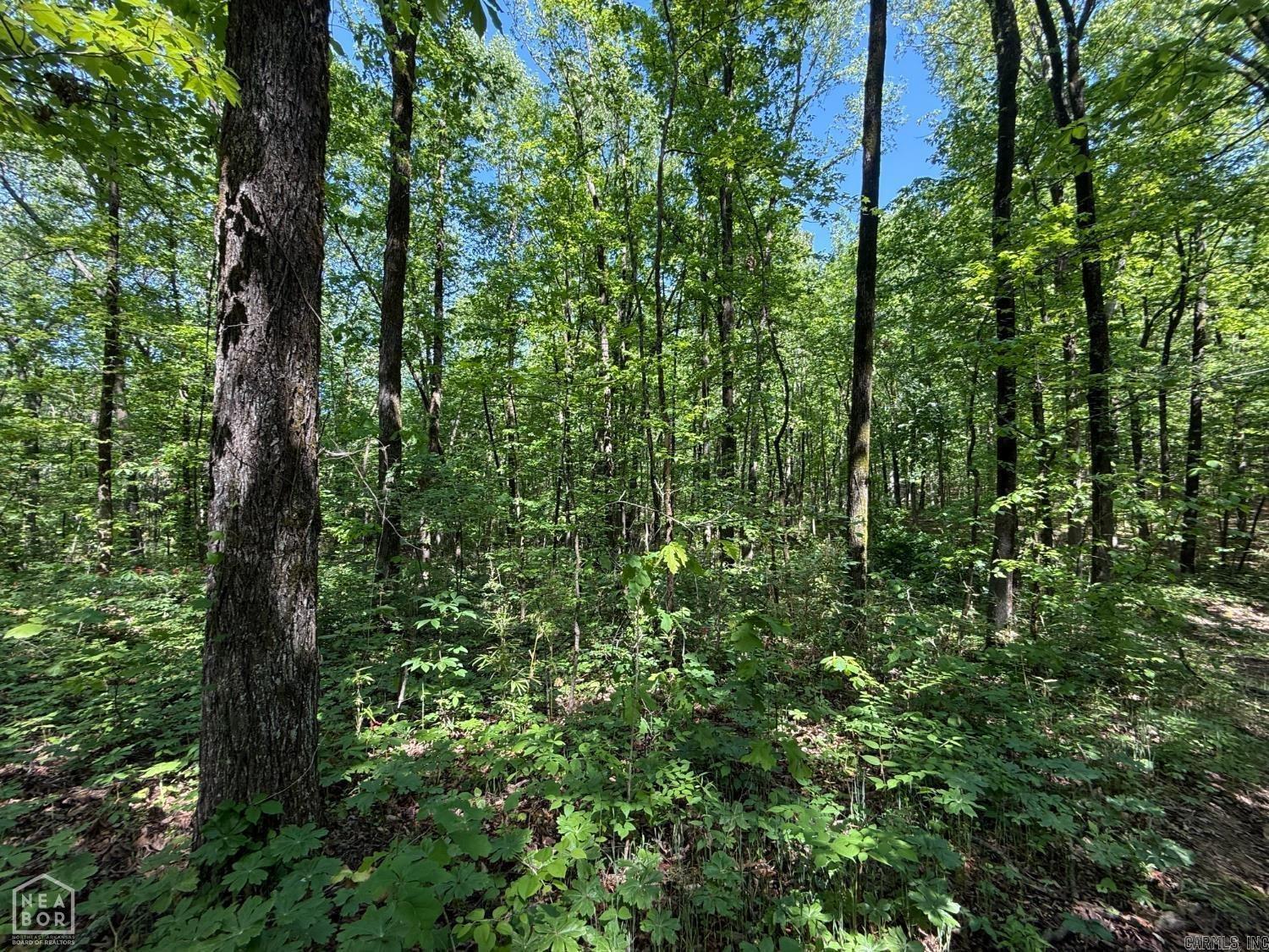 8208 Oak Creek Property Photo 3