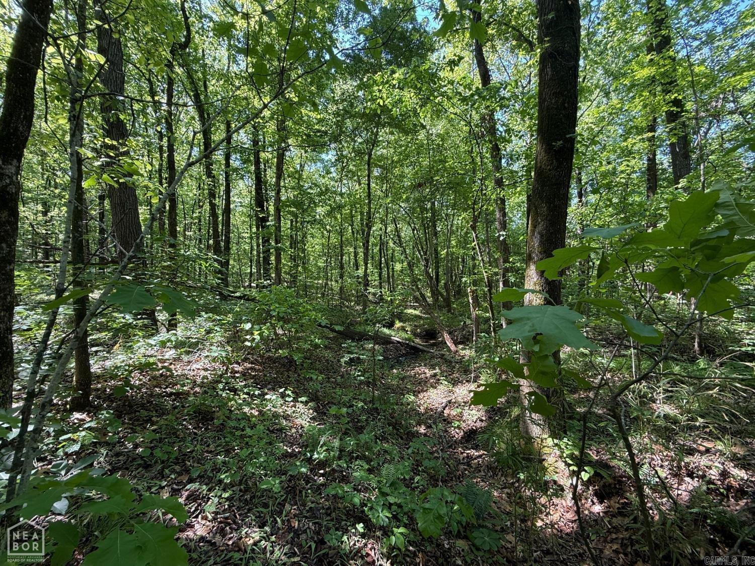 8208 Oak Creek Property Photo 4