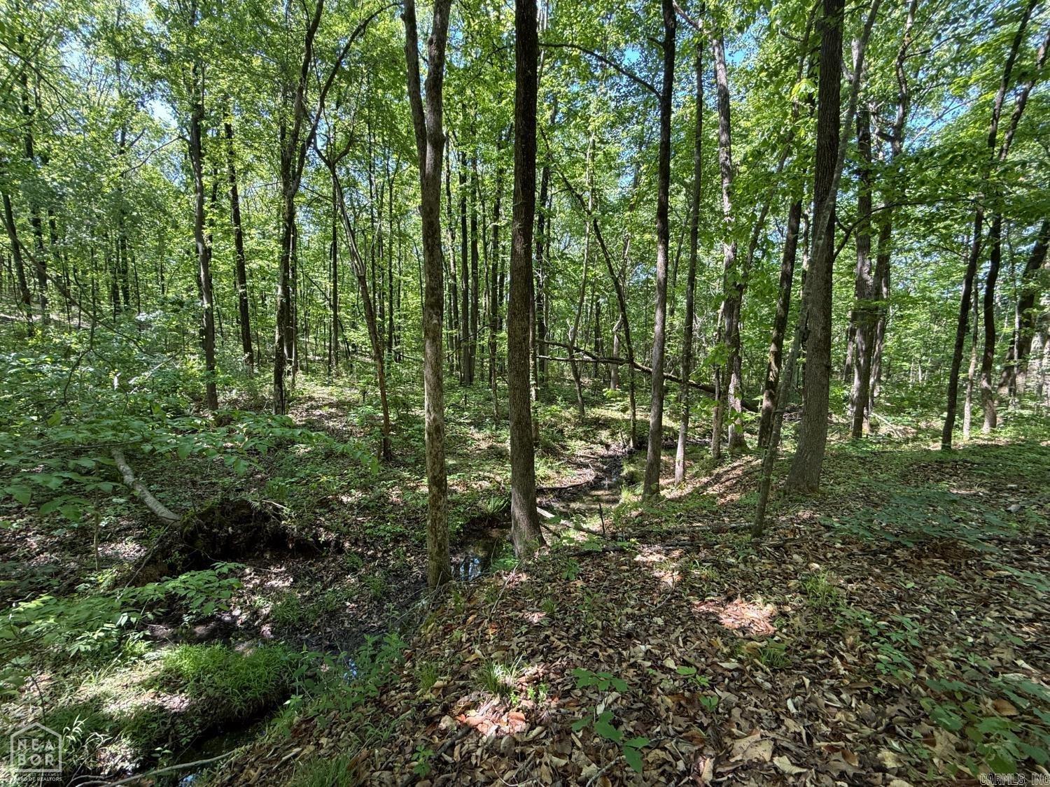 8208 Oak Creek Property Photo 6