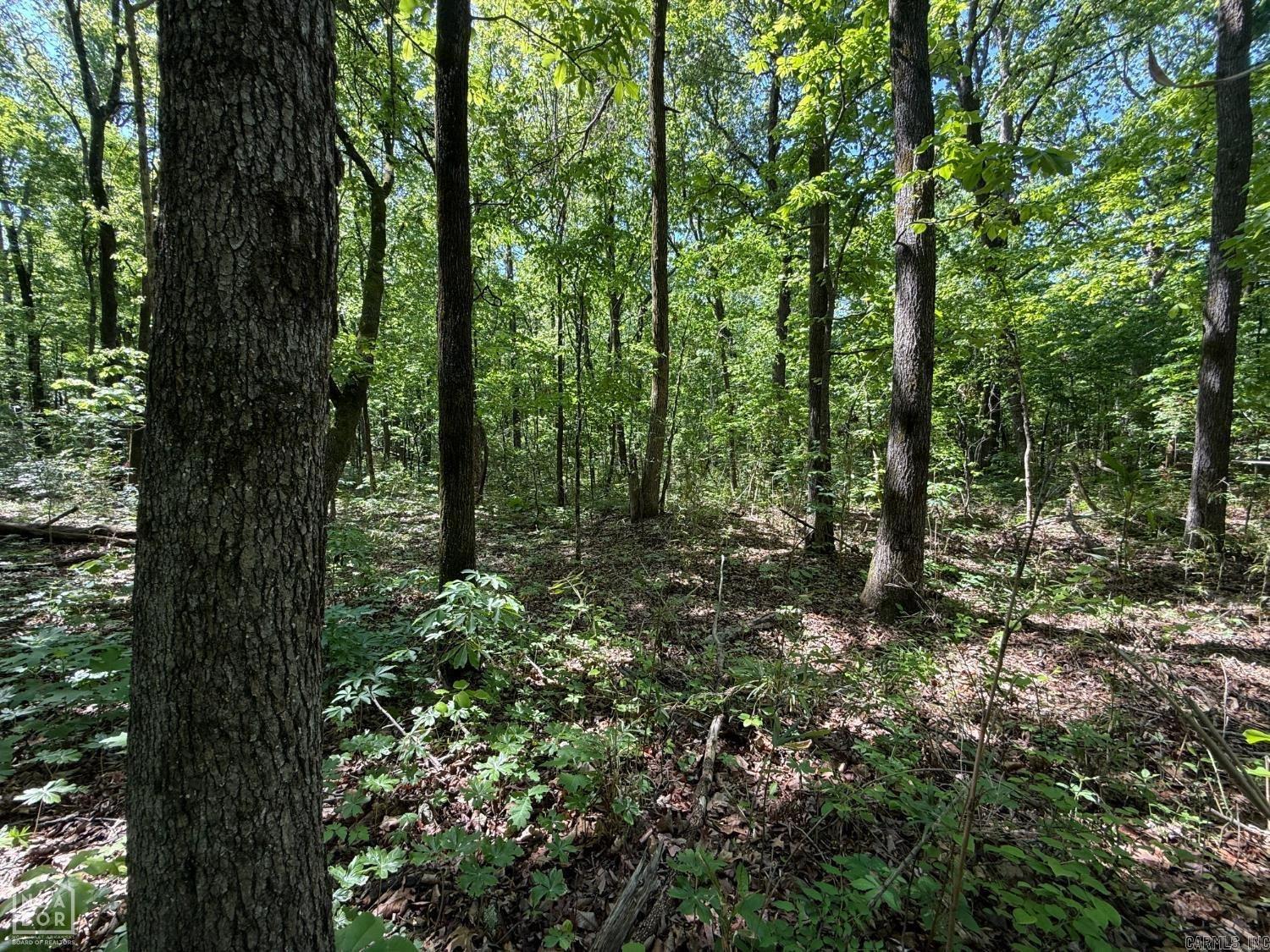 8208 Oak Creek Property Photo 7