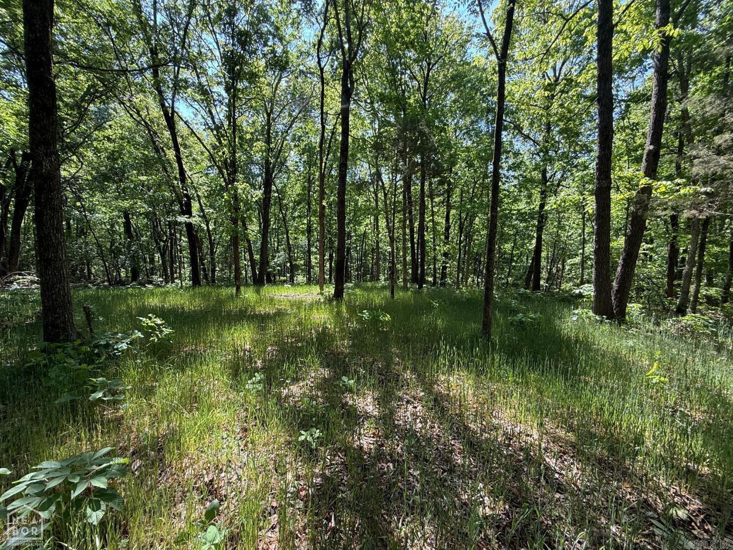 8208 Oak Creek Property Photo 10