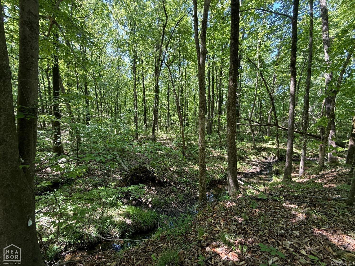 8208 Oak Creek Property Photo 11
