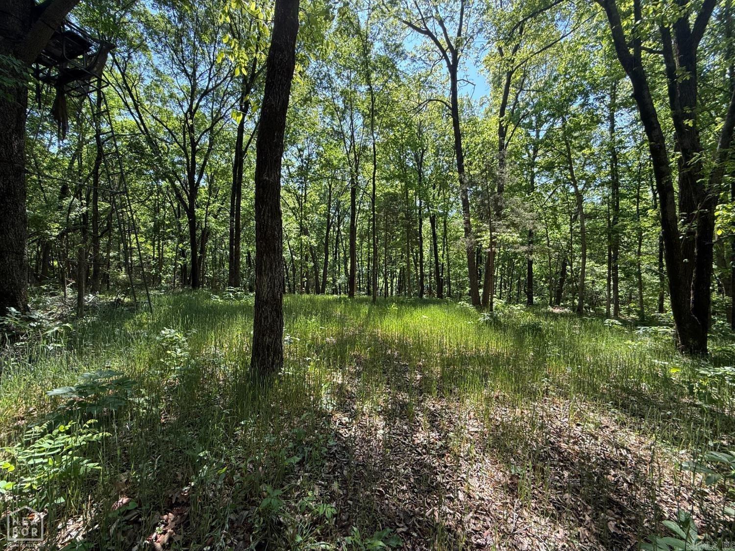 8208 Oak Creek Property Photo 12