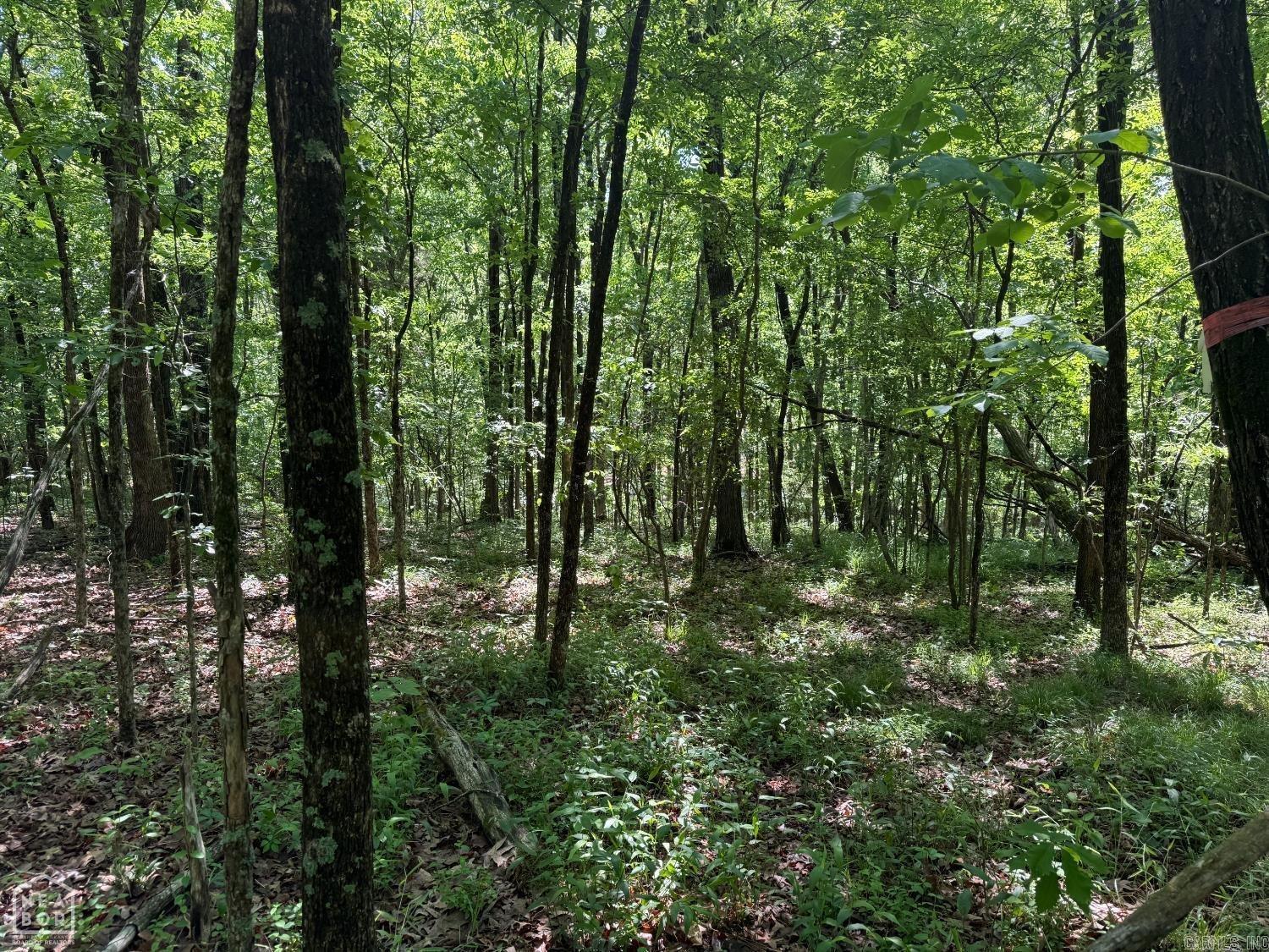 8208 Oak Creek Property Photo 14