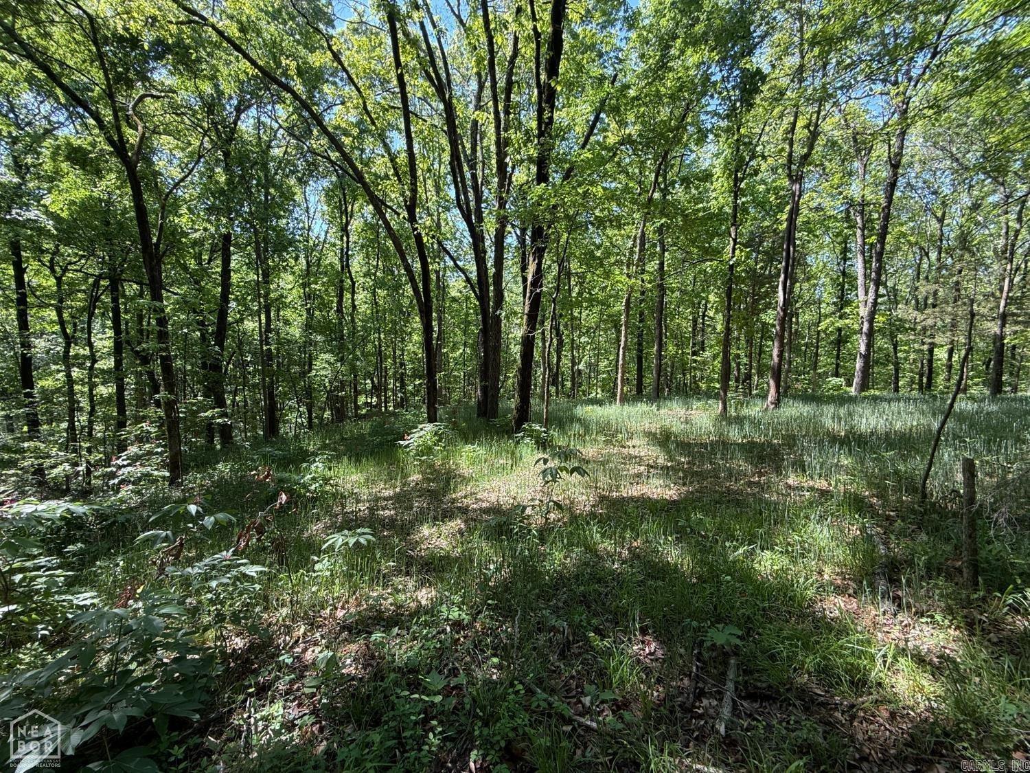 8208 Oak Creek Property Photo 15
