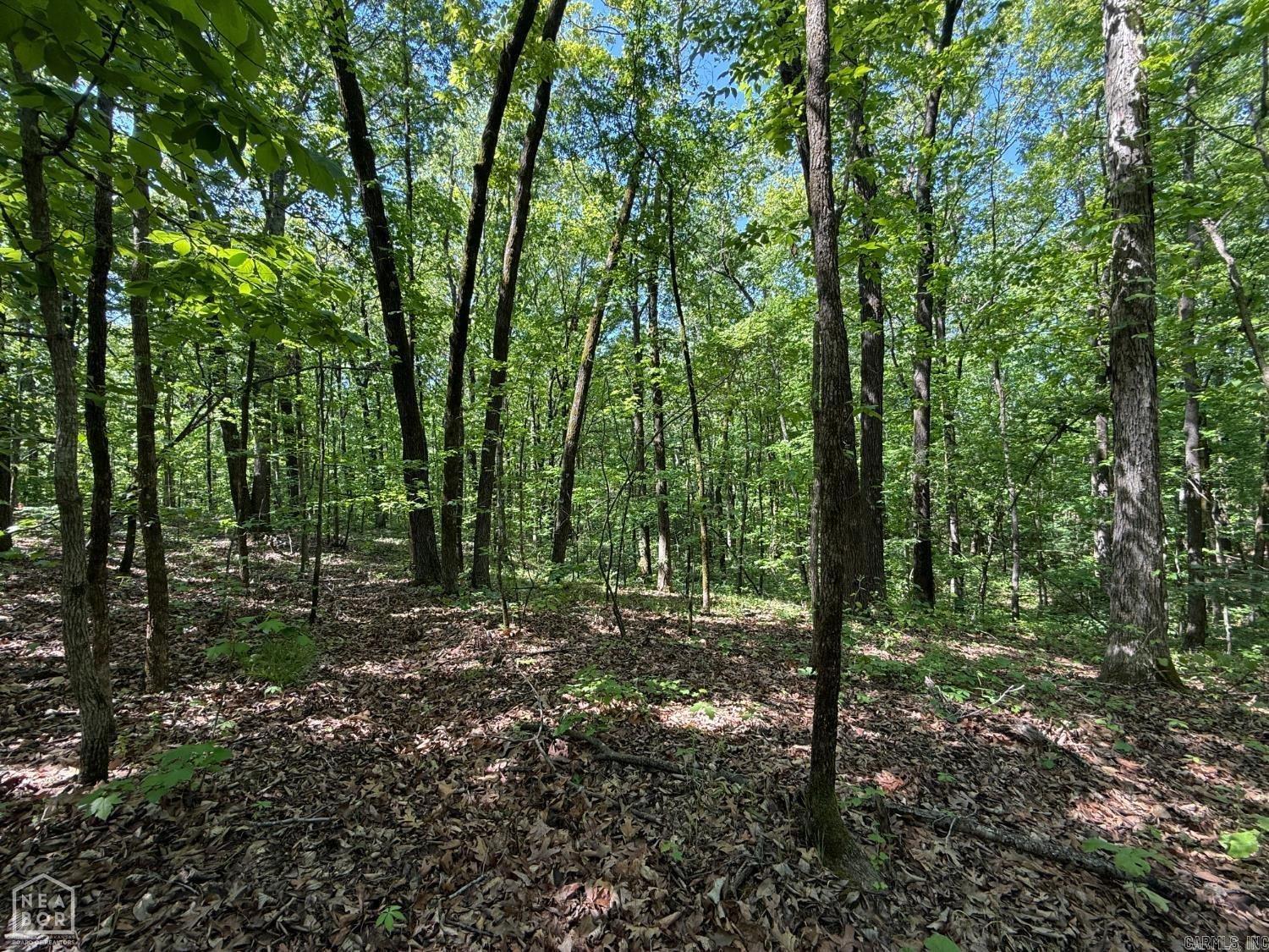 8208 Oak Creek Property Photo 16