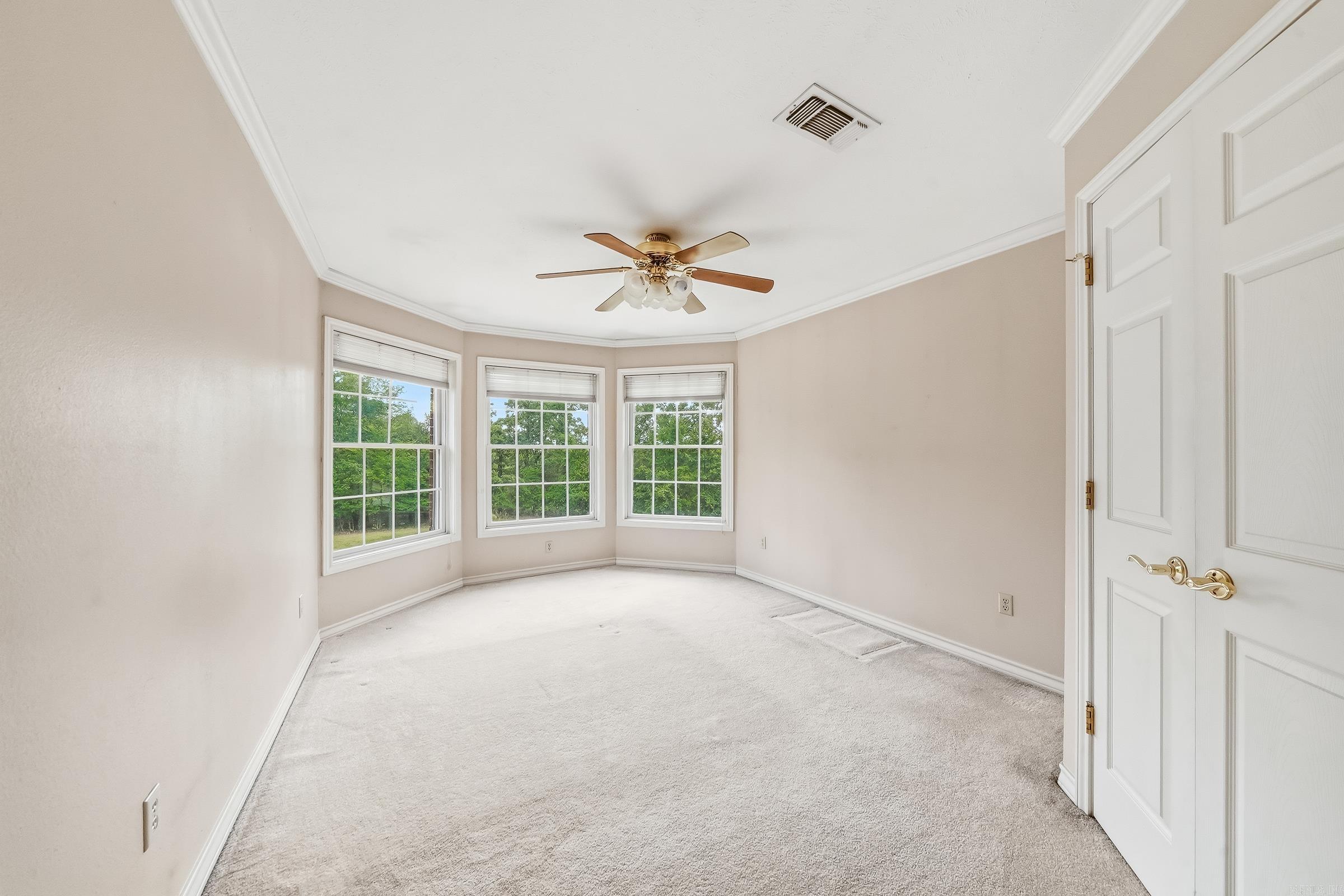 161 White Tail Drive Property Photo 22