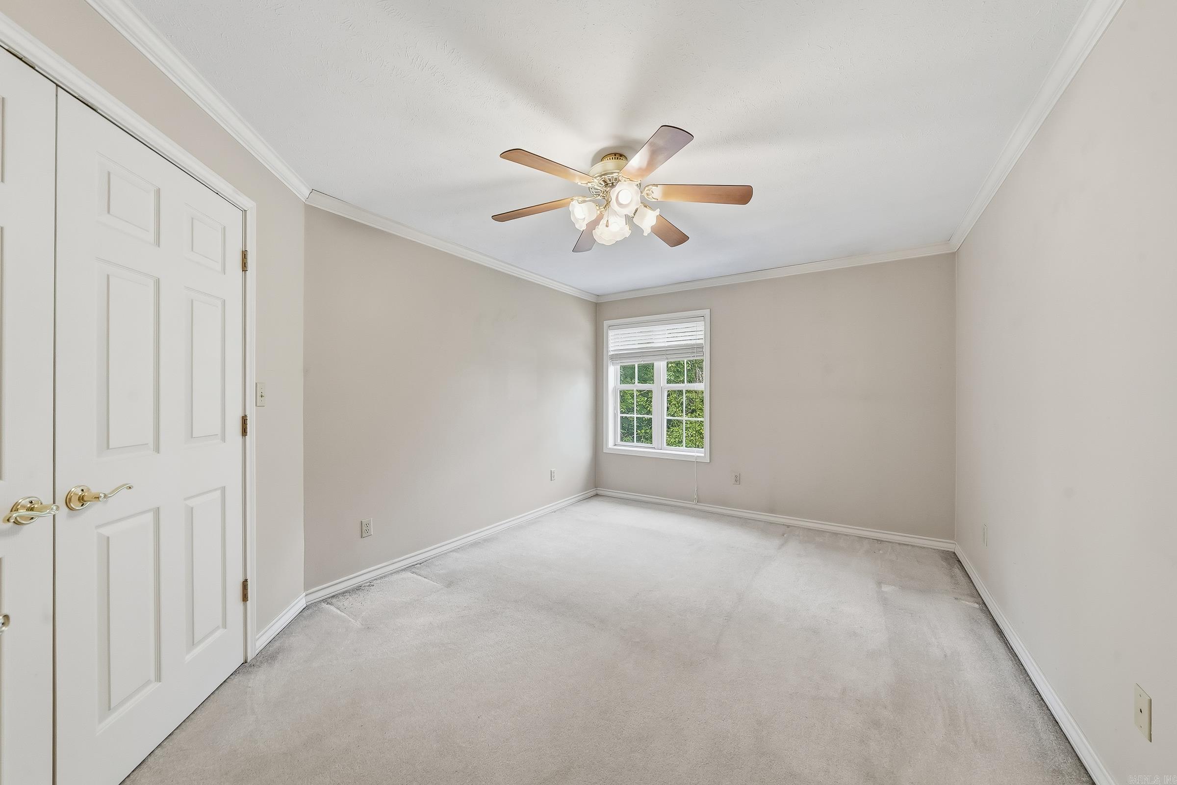 161 White Tail Drive Property Photo 24