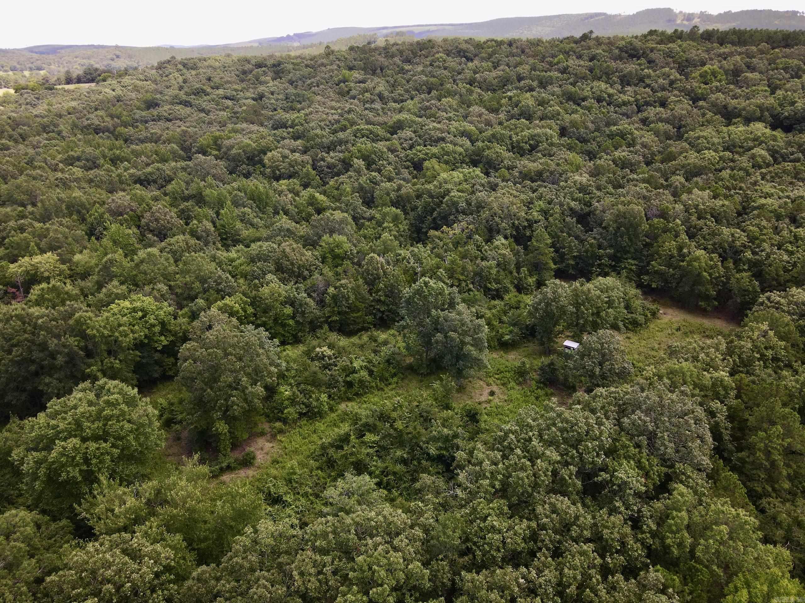 000 Hwy 28 Property Photo 3