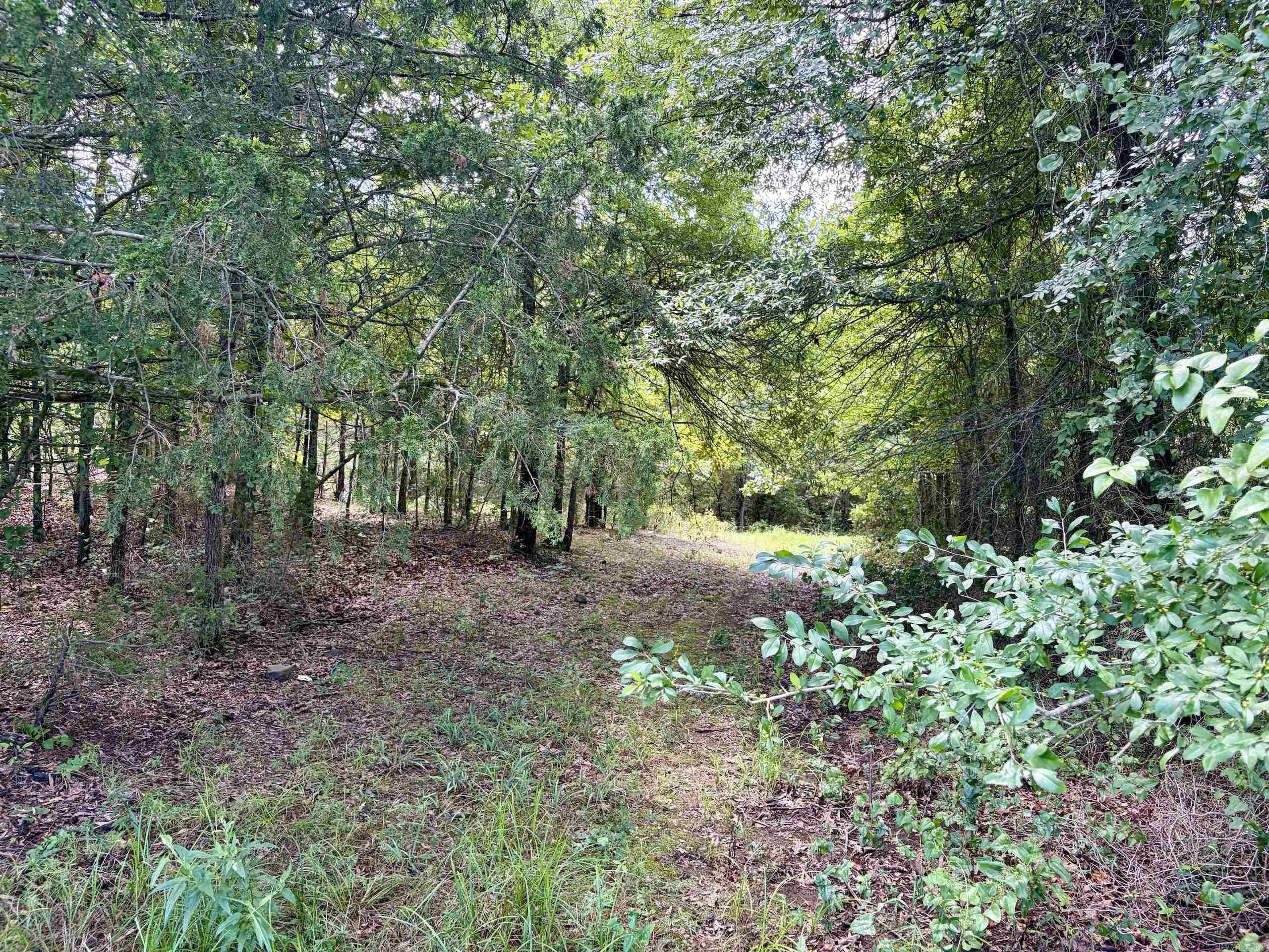 000 Hwy 28 Property Photo 9
