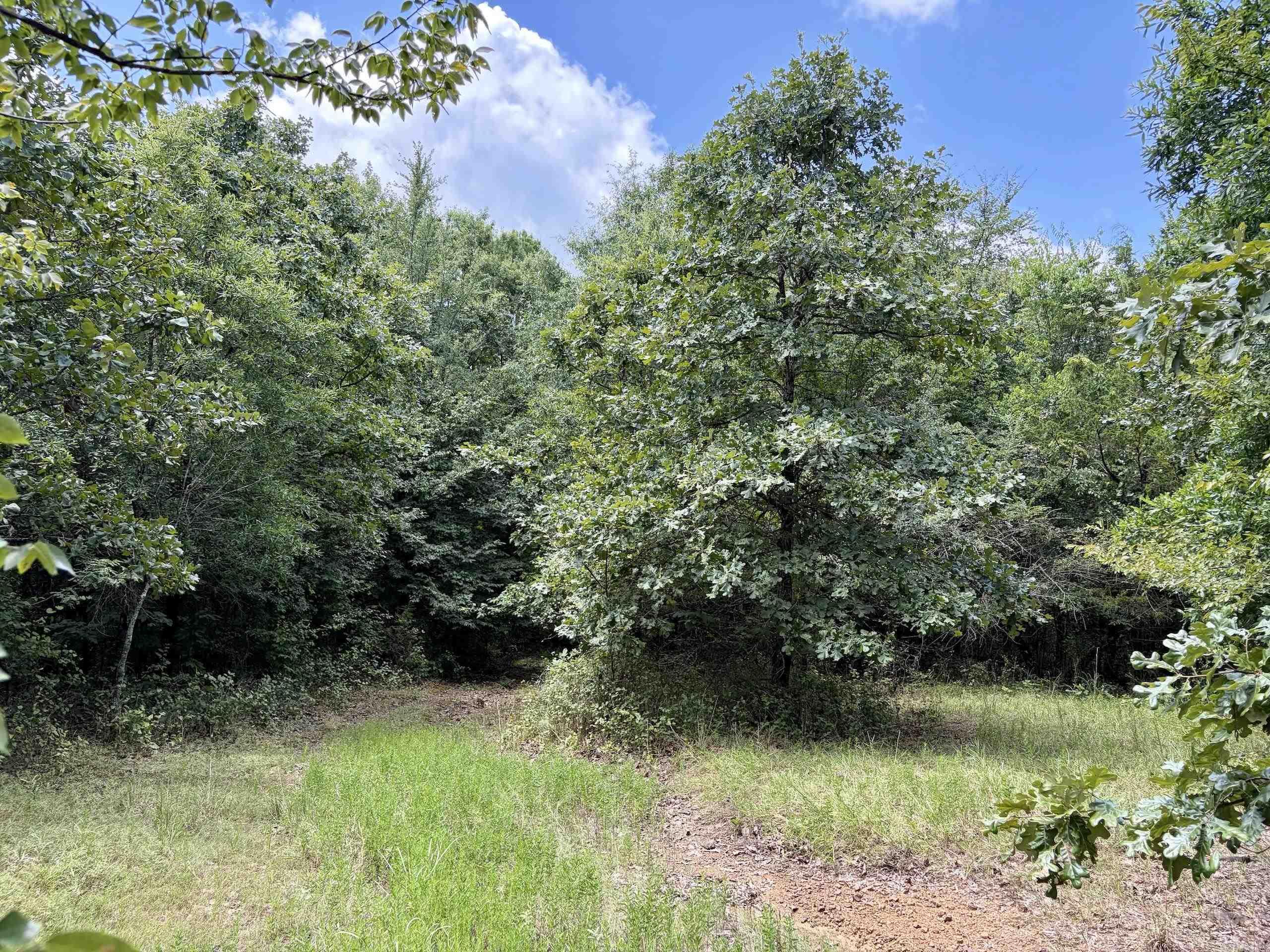 000 Hwy 28 Property Photo 11