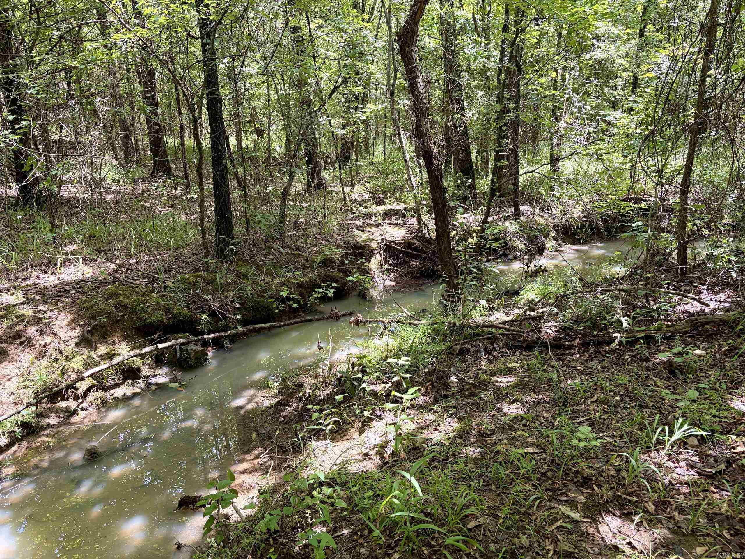 000 Hwy 28 Property Photo 12