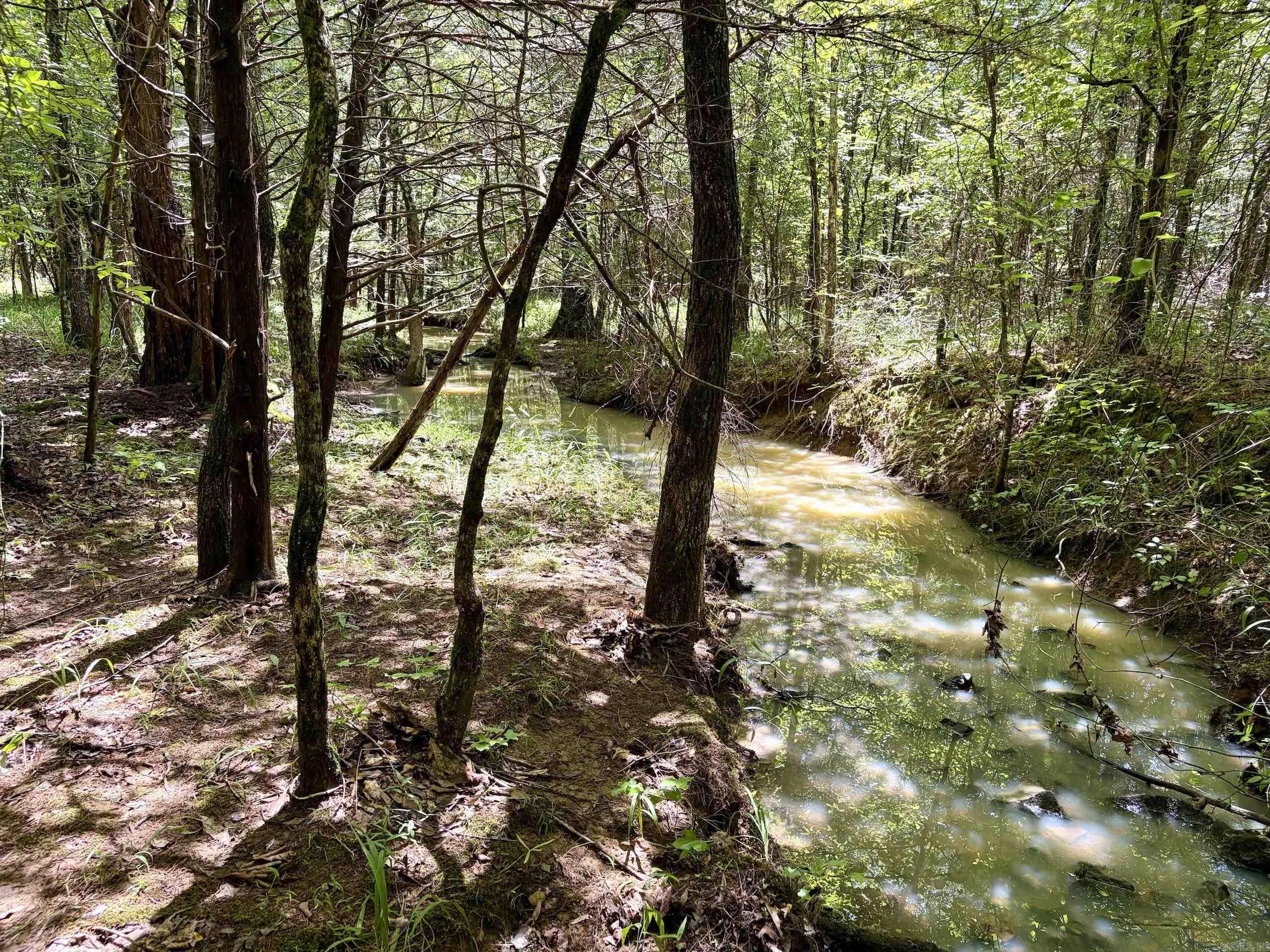 000 Hwy 28 Property Photo 13