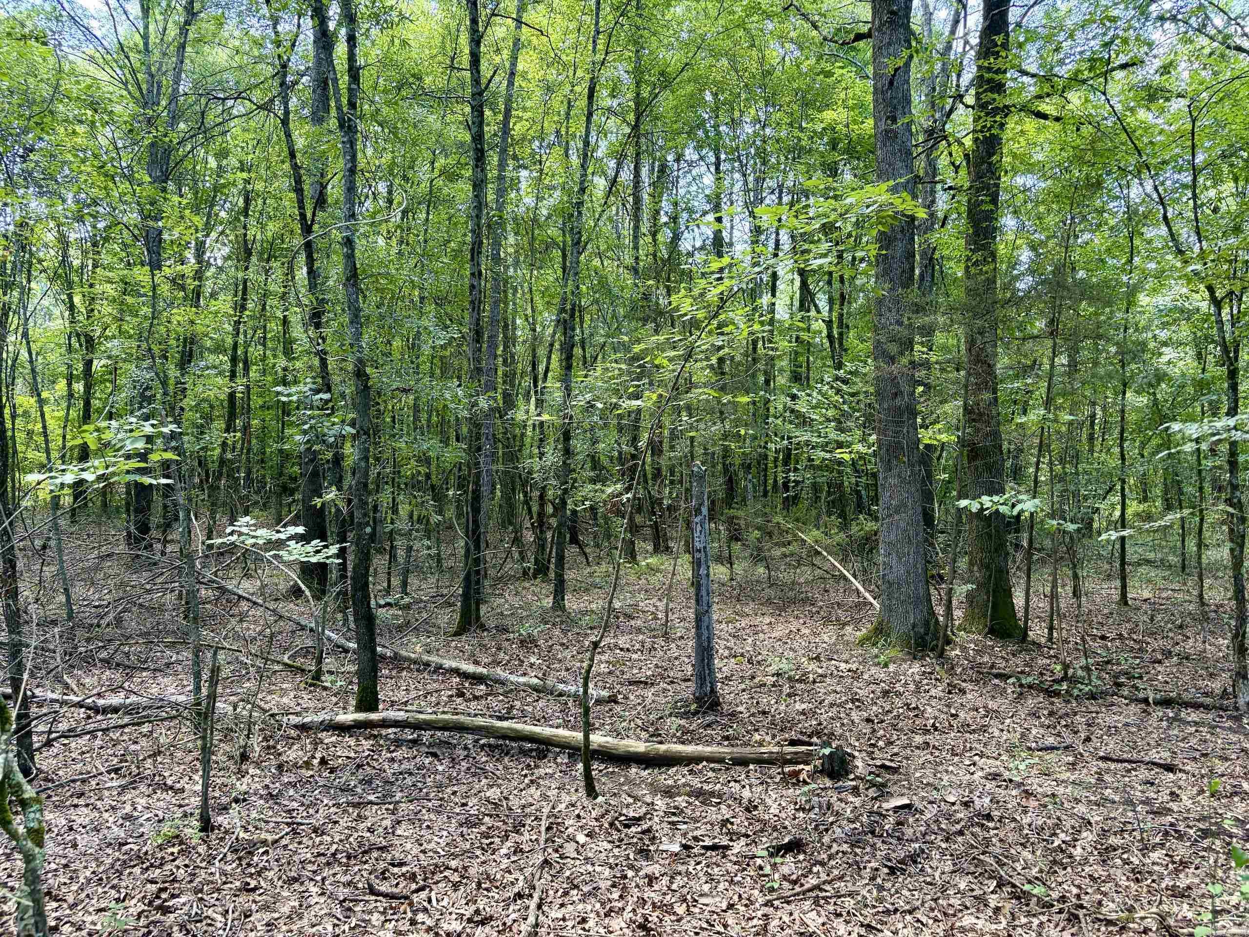 000 Hwy 28 Property Photo 16