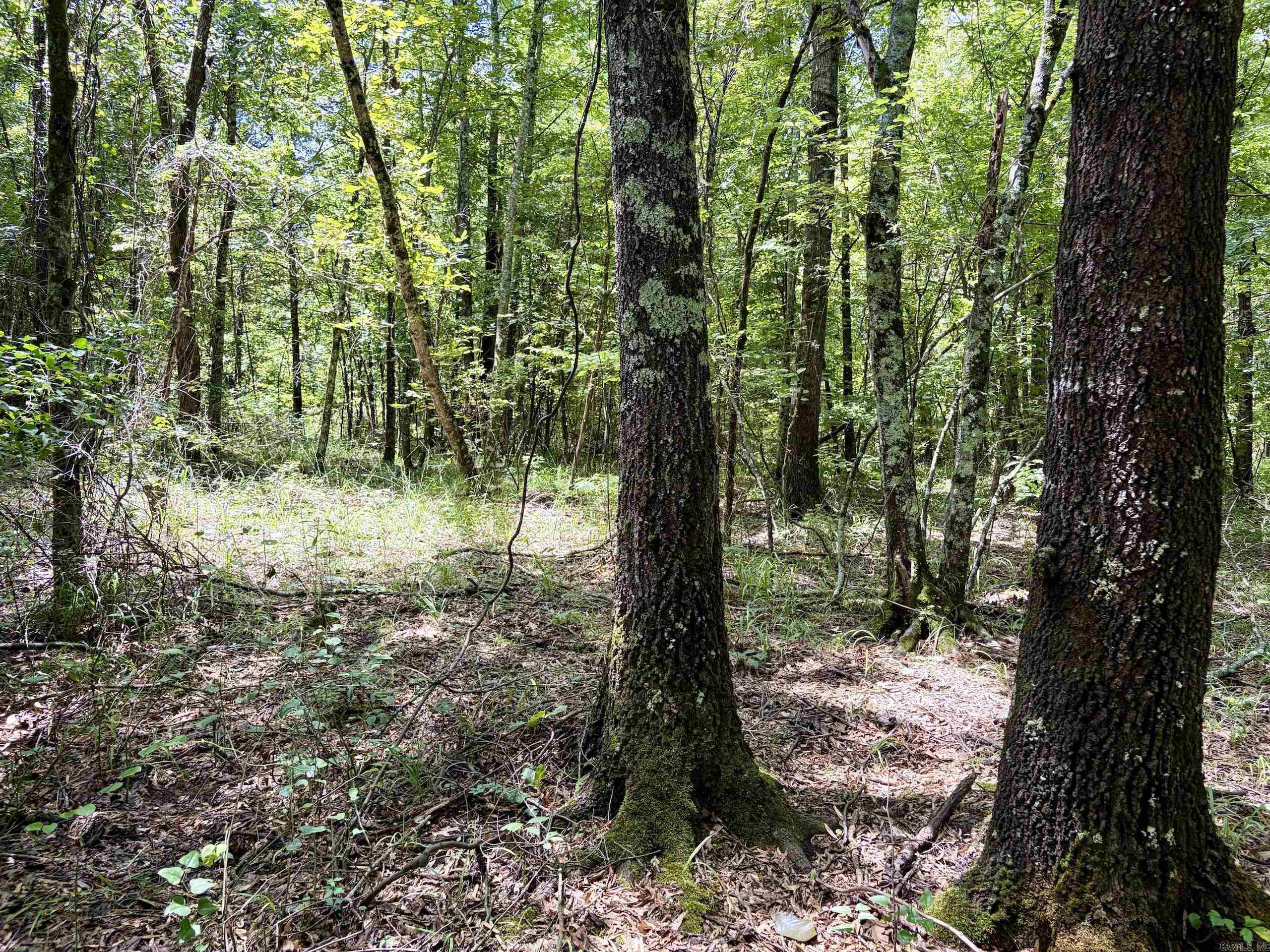 000 Hwy 28 Property Photo 18