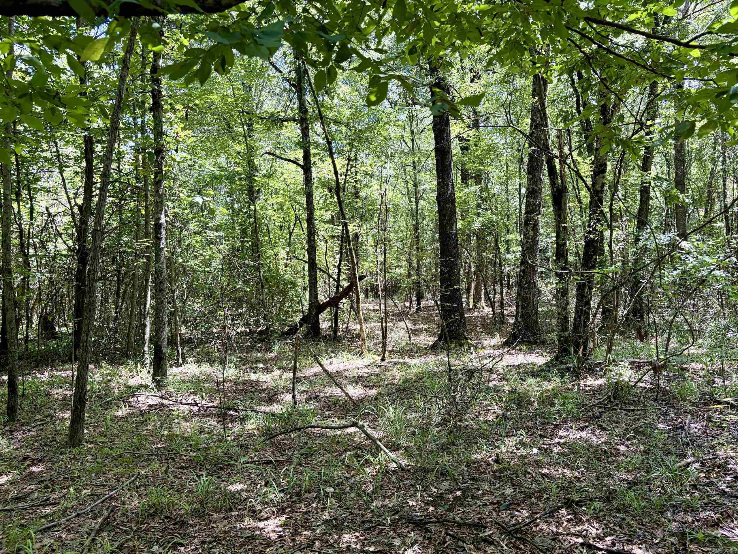000 Hwy 28 Property Photo 19