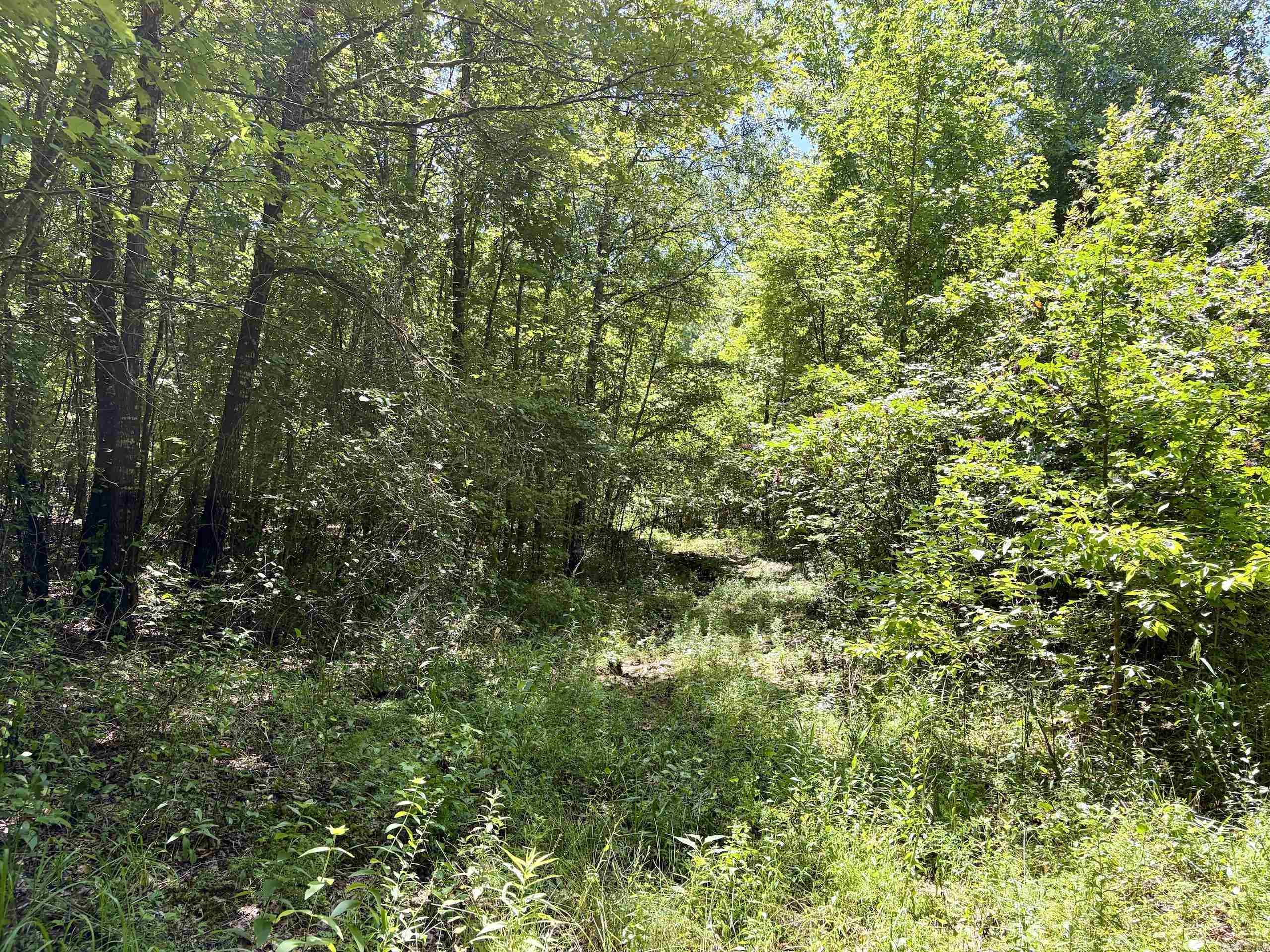 000 Hwy 28 Property Photo 20