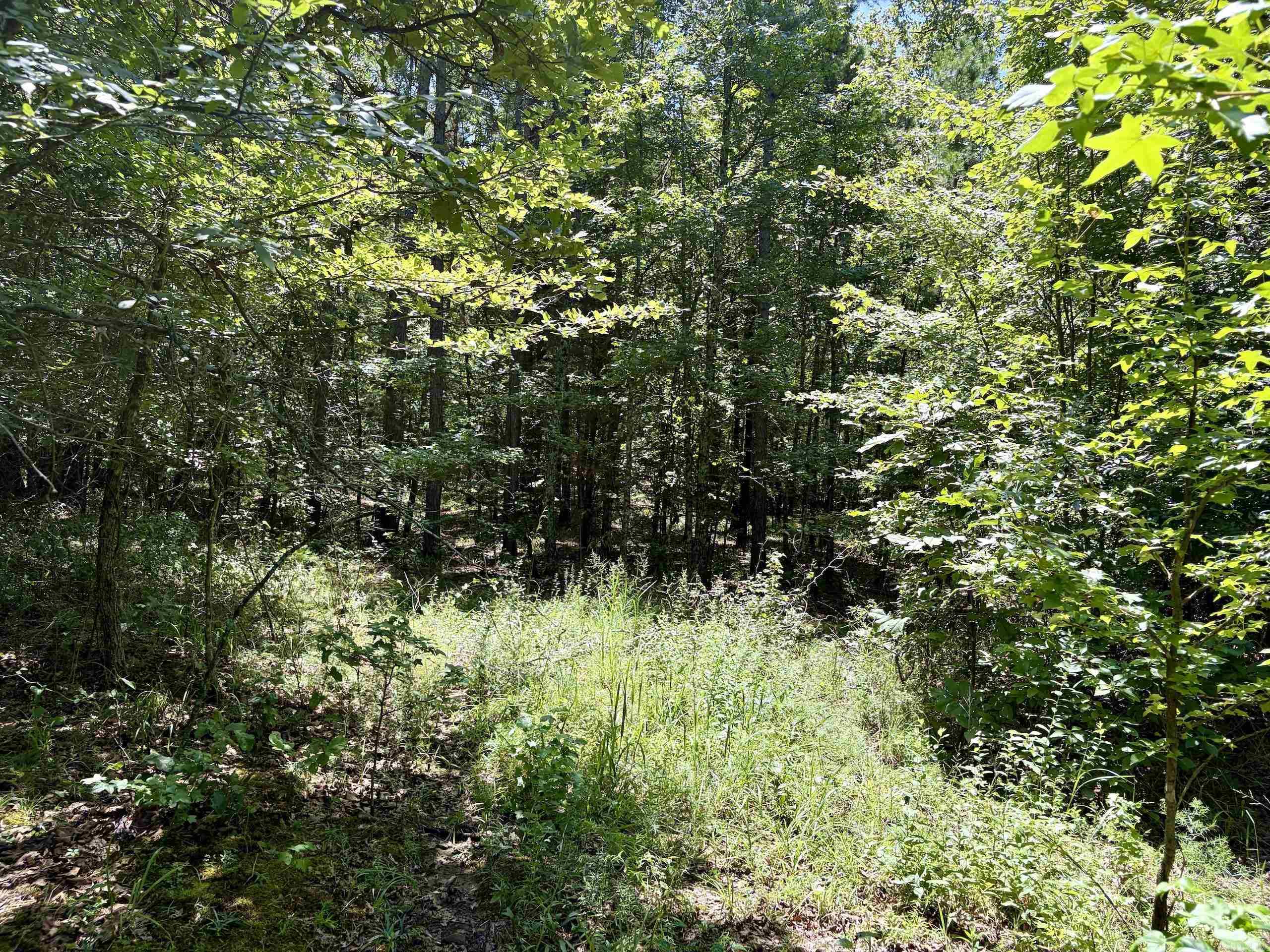 000 Hwy 28 Property Photo 21