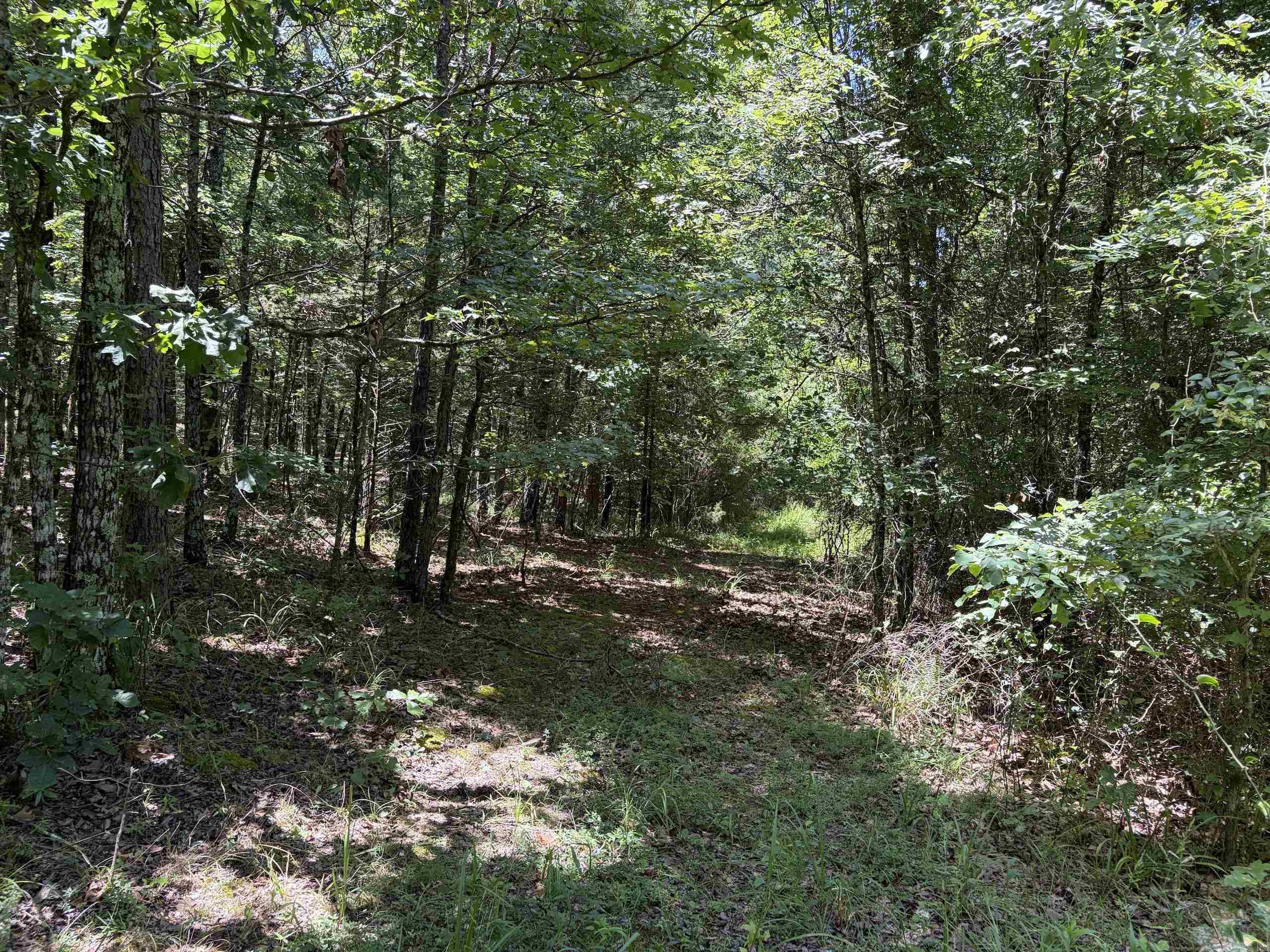 000 Hwy 28 Property Photo 22