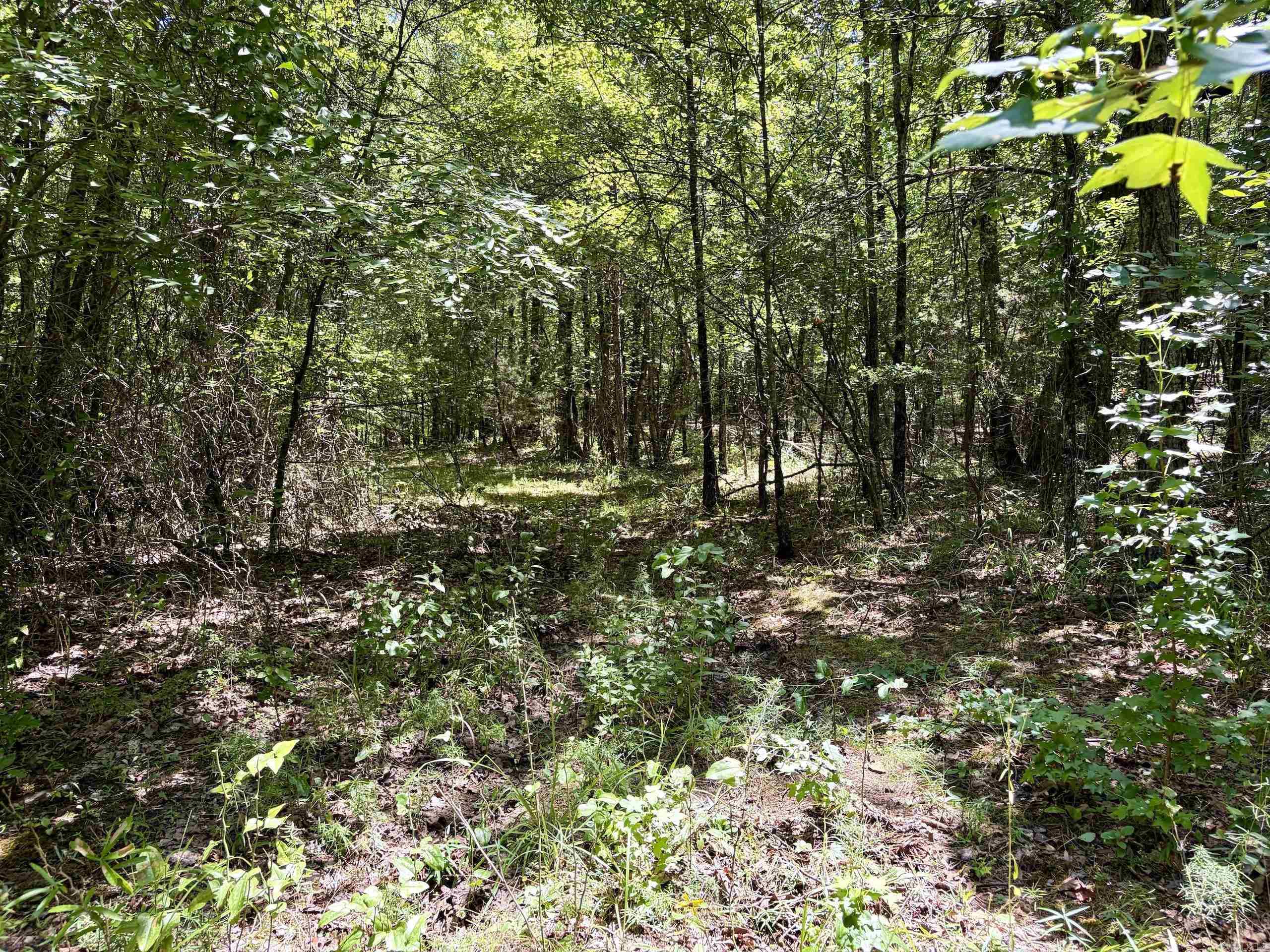 000 Hwy 28 Property Photo 23