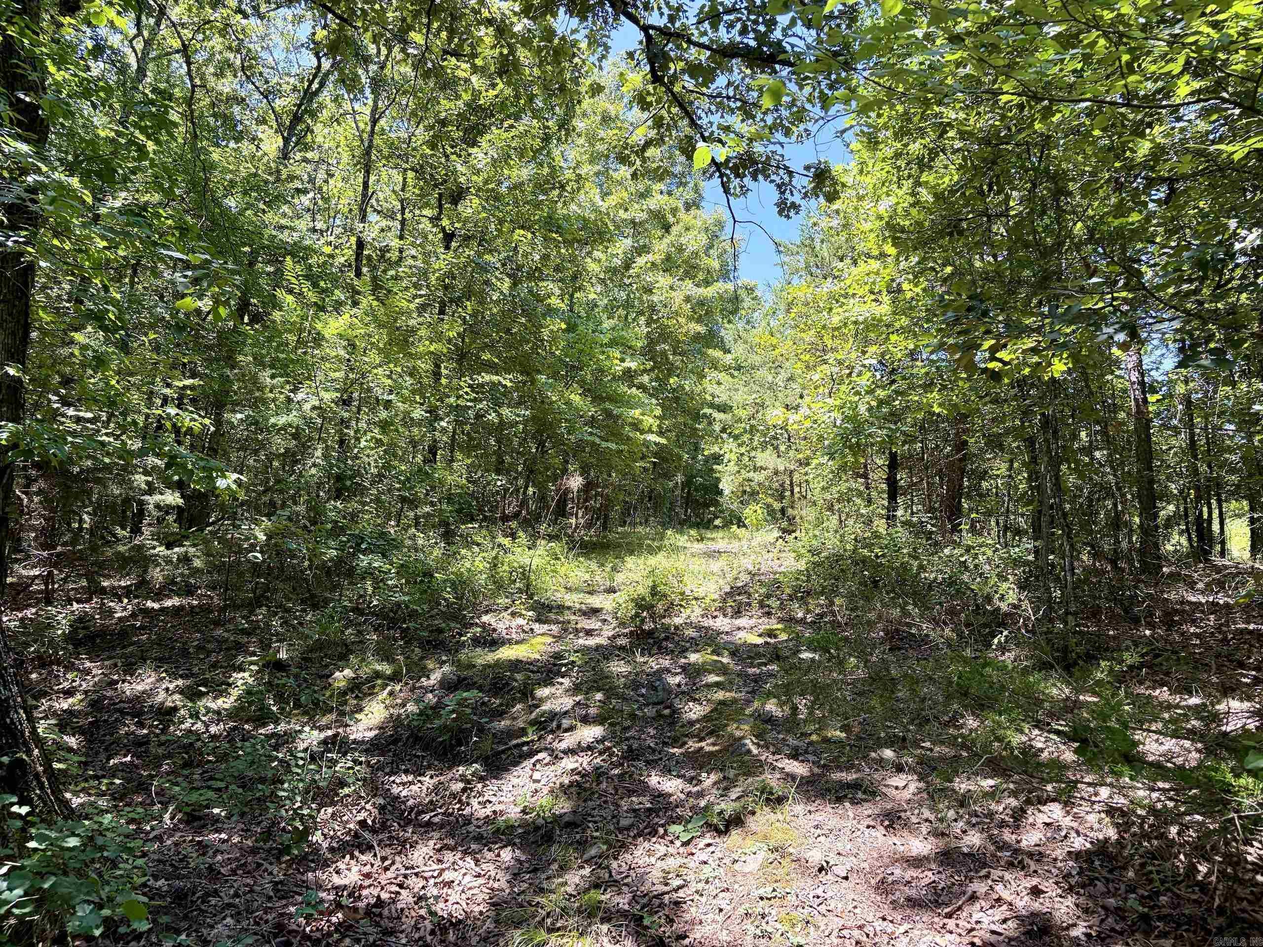 000 Hwy 28 Property Photo 24