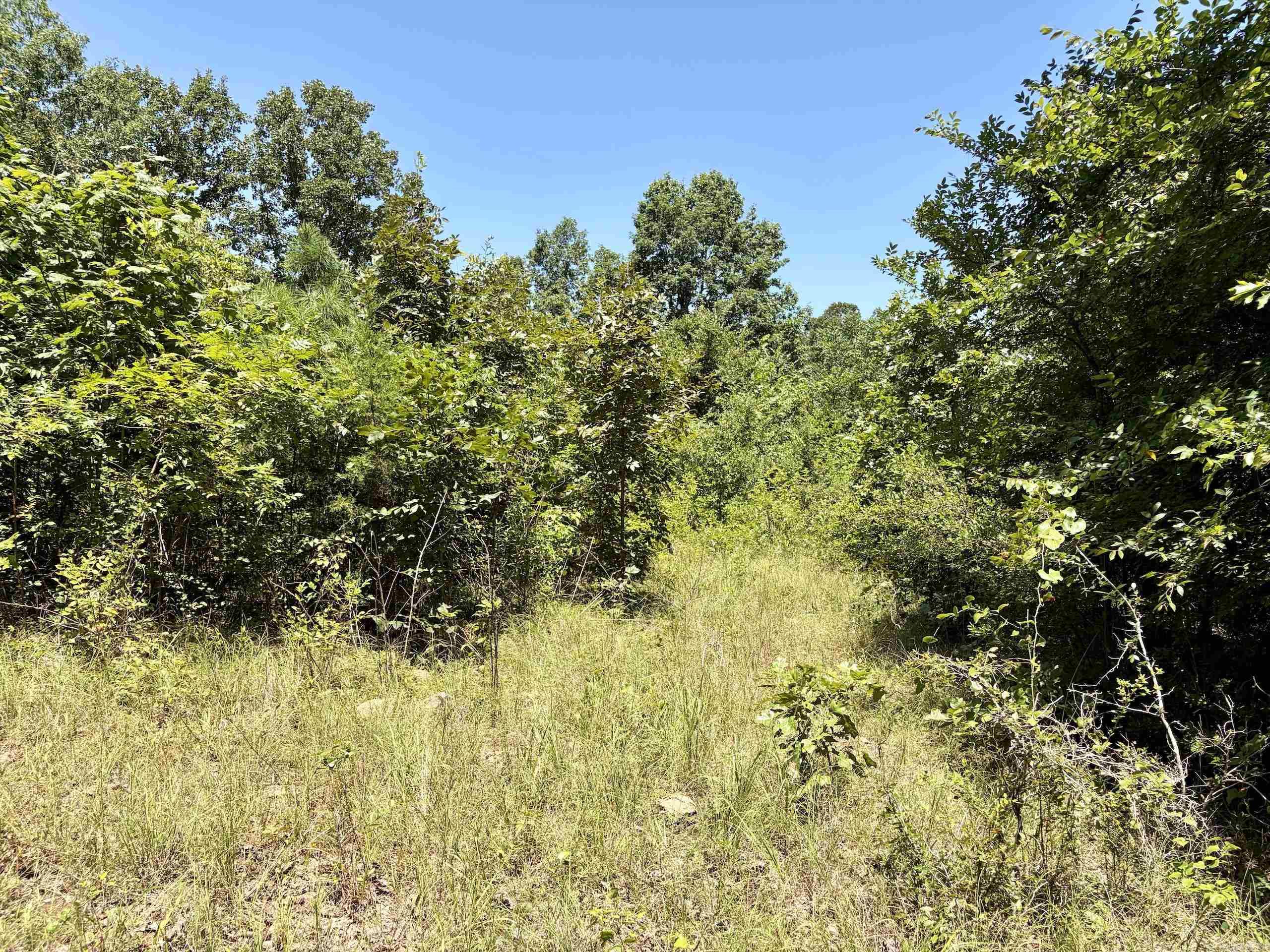 000 Hwy 28 Property Photo 25