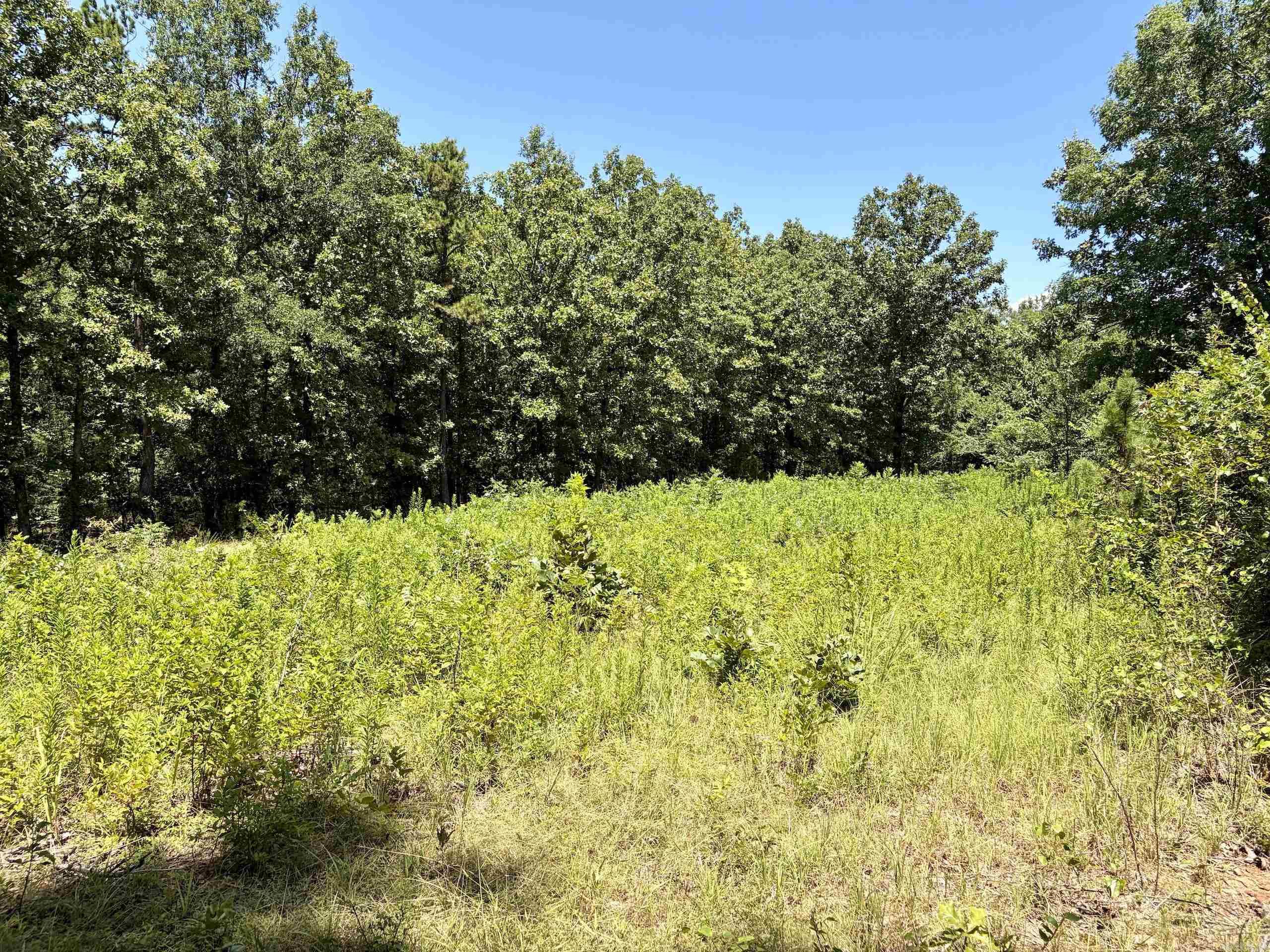 000 Hwy 28 Property Photo 26