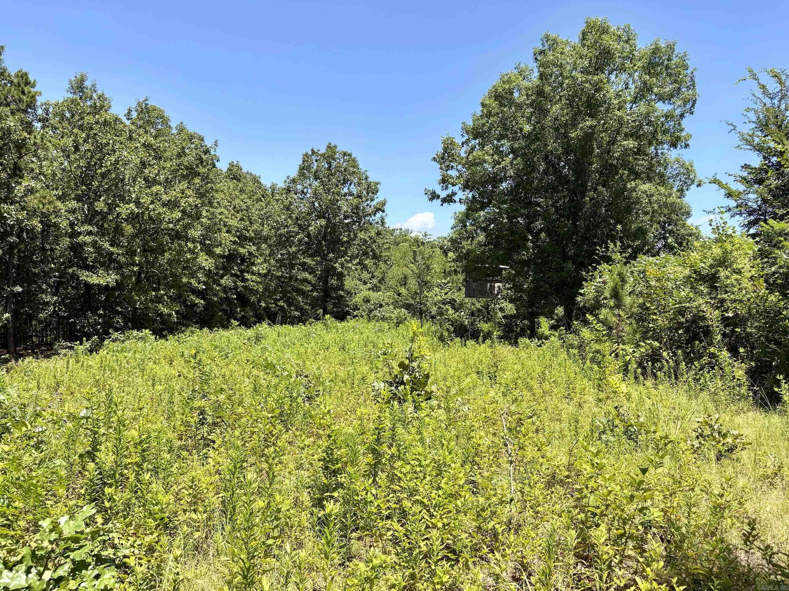 000 Hwy 28 Property Photo 27