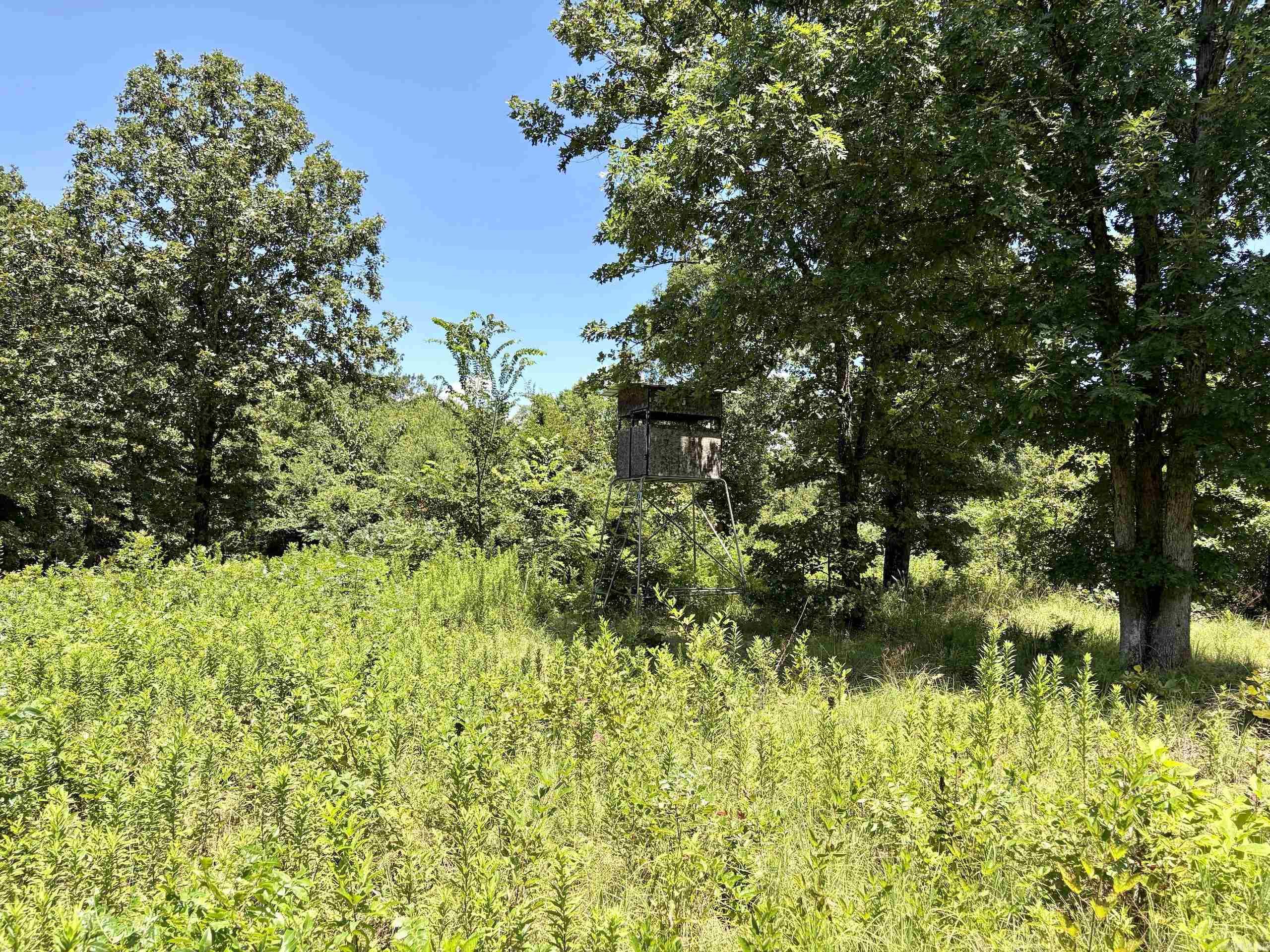 000 Hwy 28 Property Photo 28