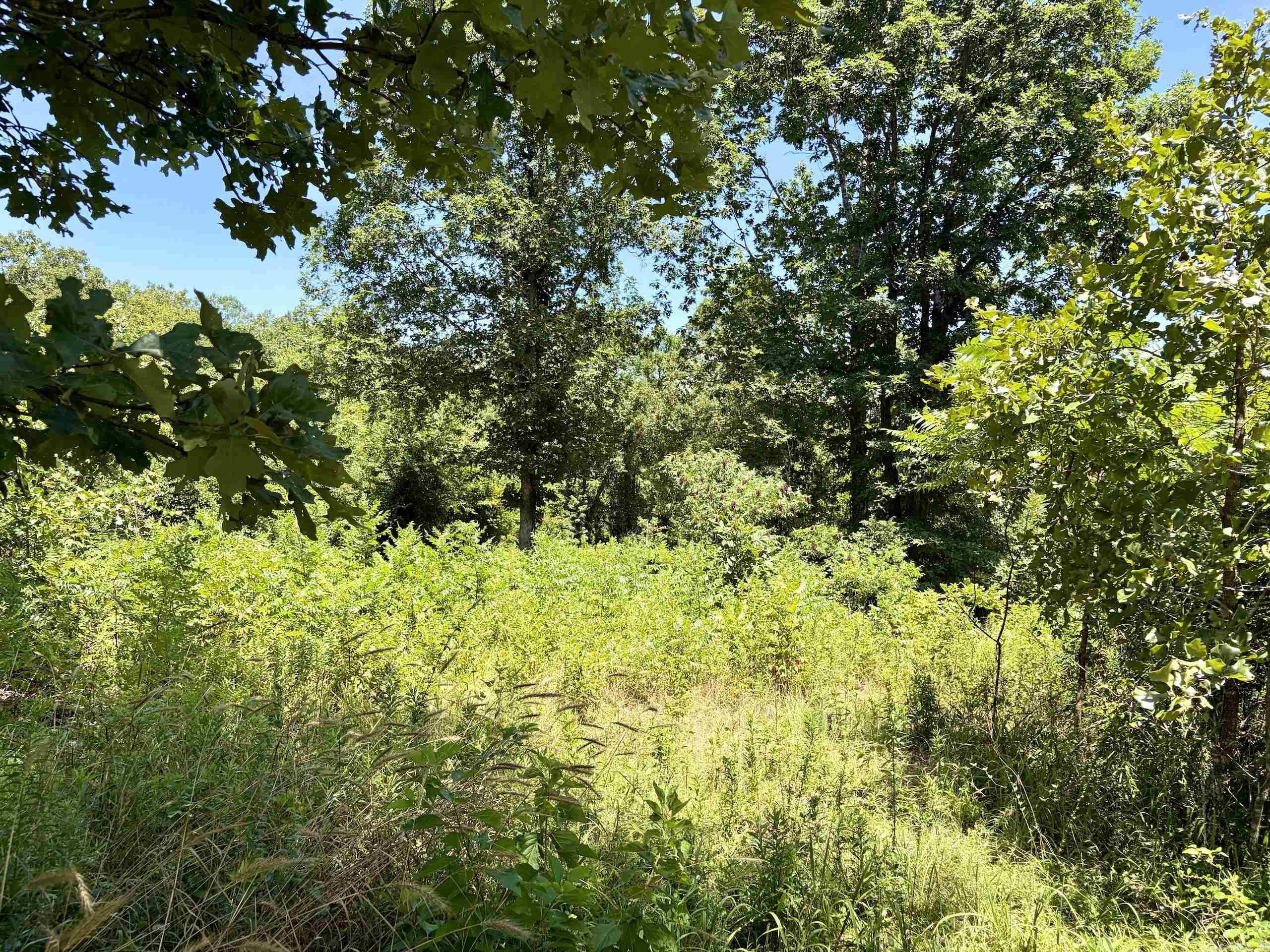 000 Hwy 28 Property Photo 29