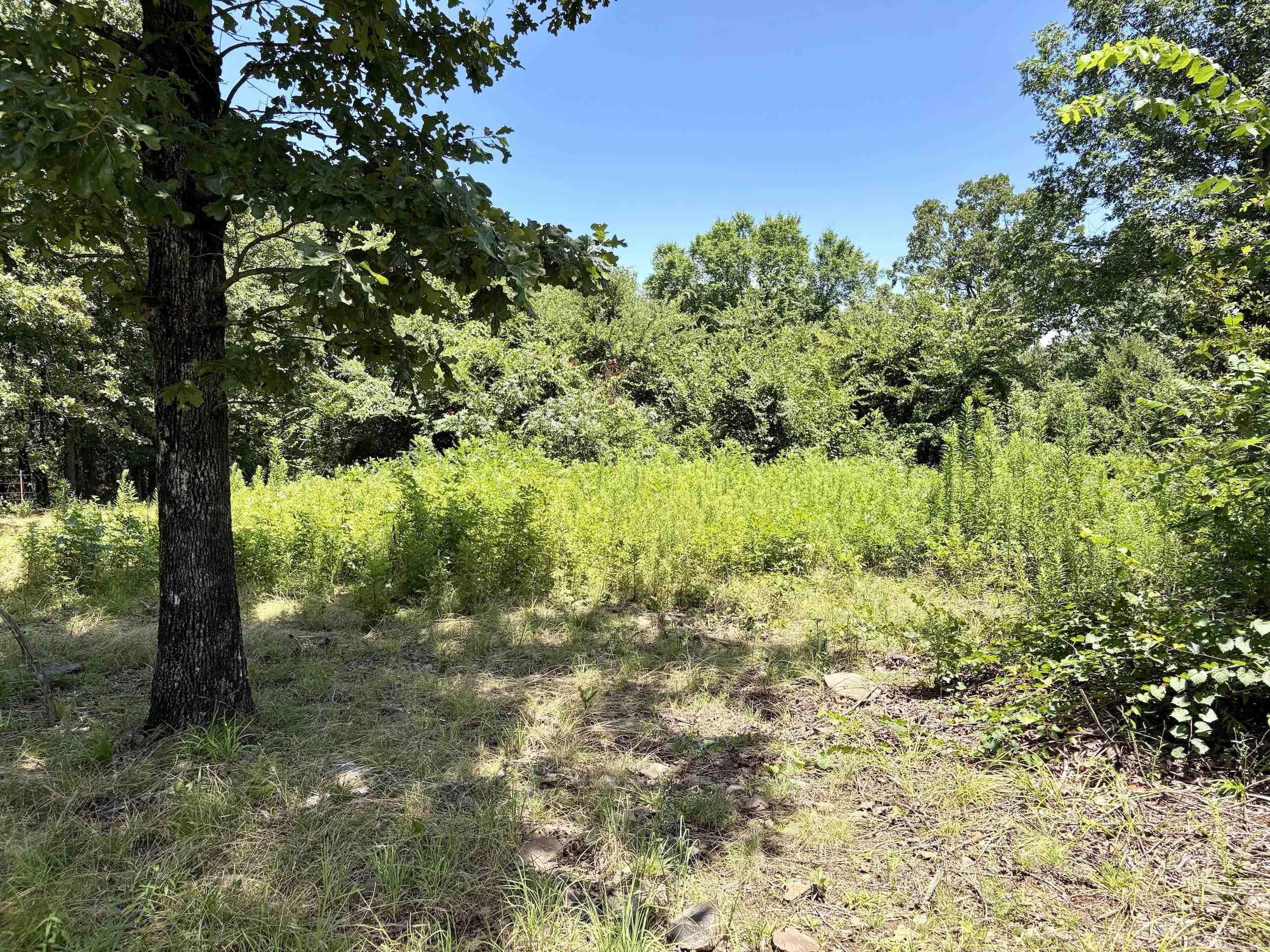 000 Hwy 28 Property Photo 31