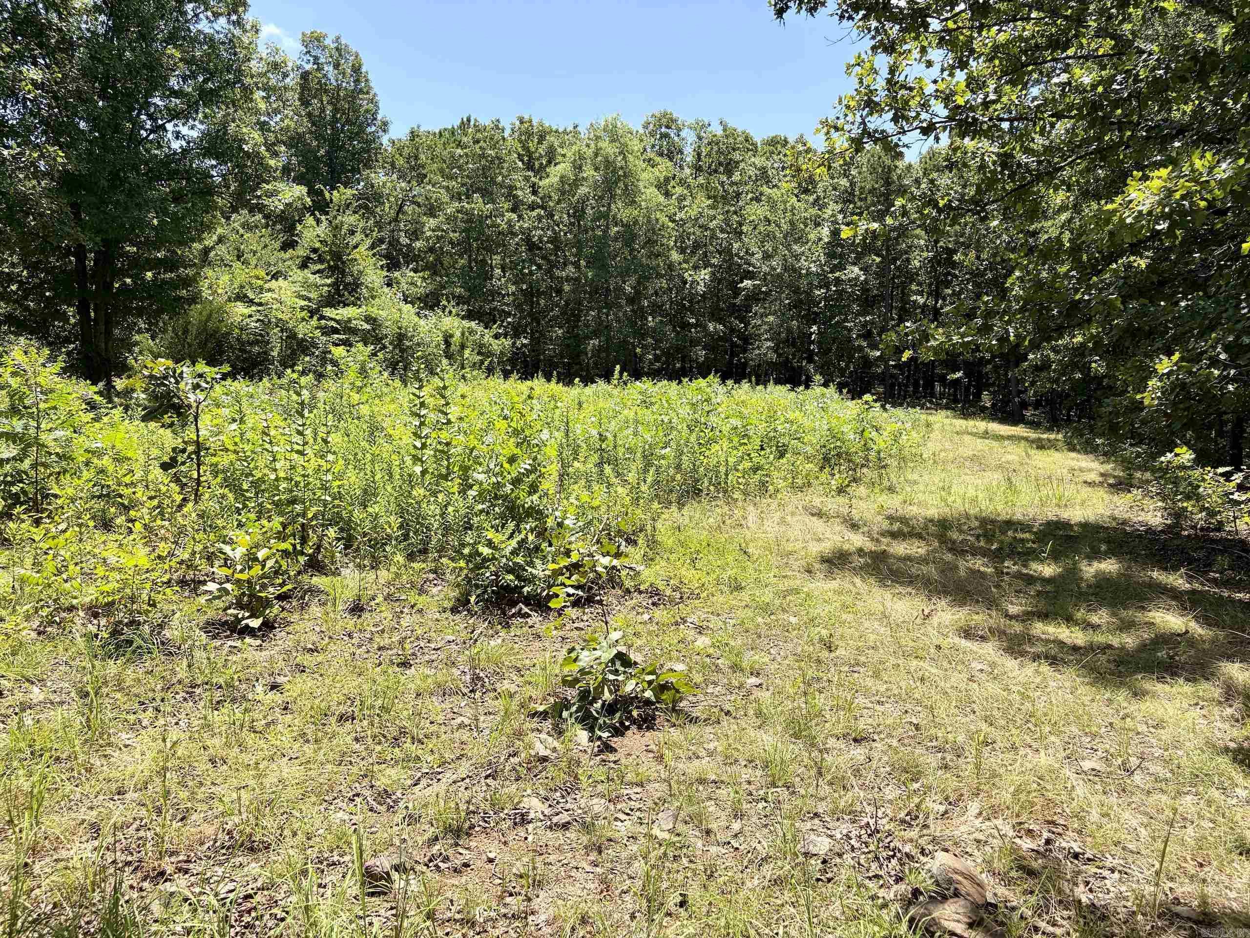 000 Hwy 28 Property Photo 32