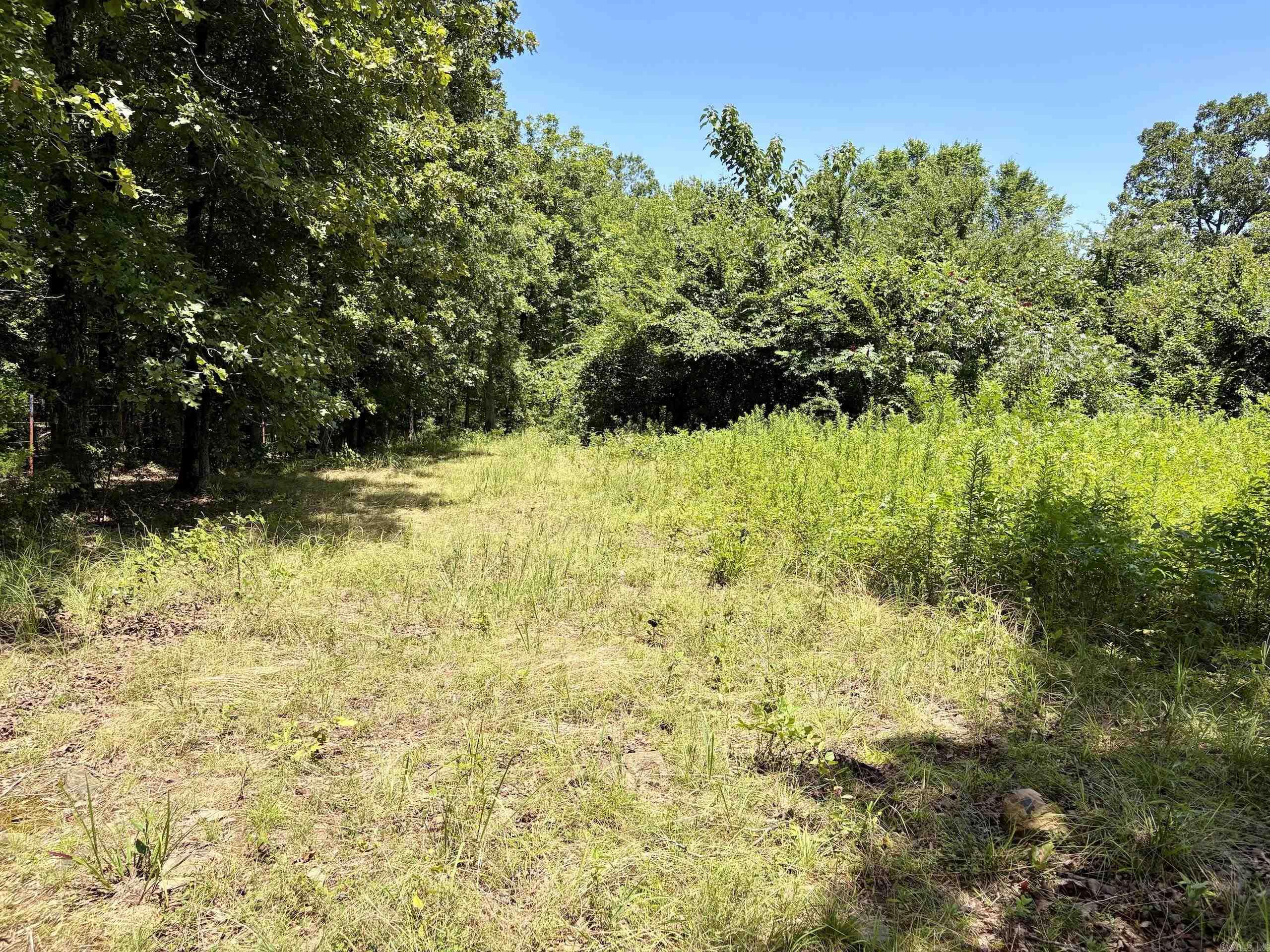 000 Hwy 28 Property Photo 33