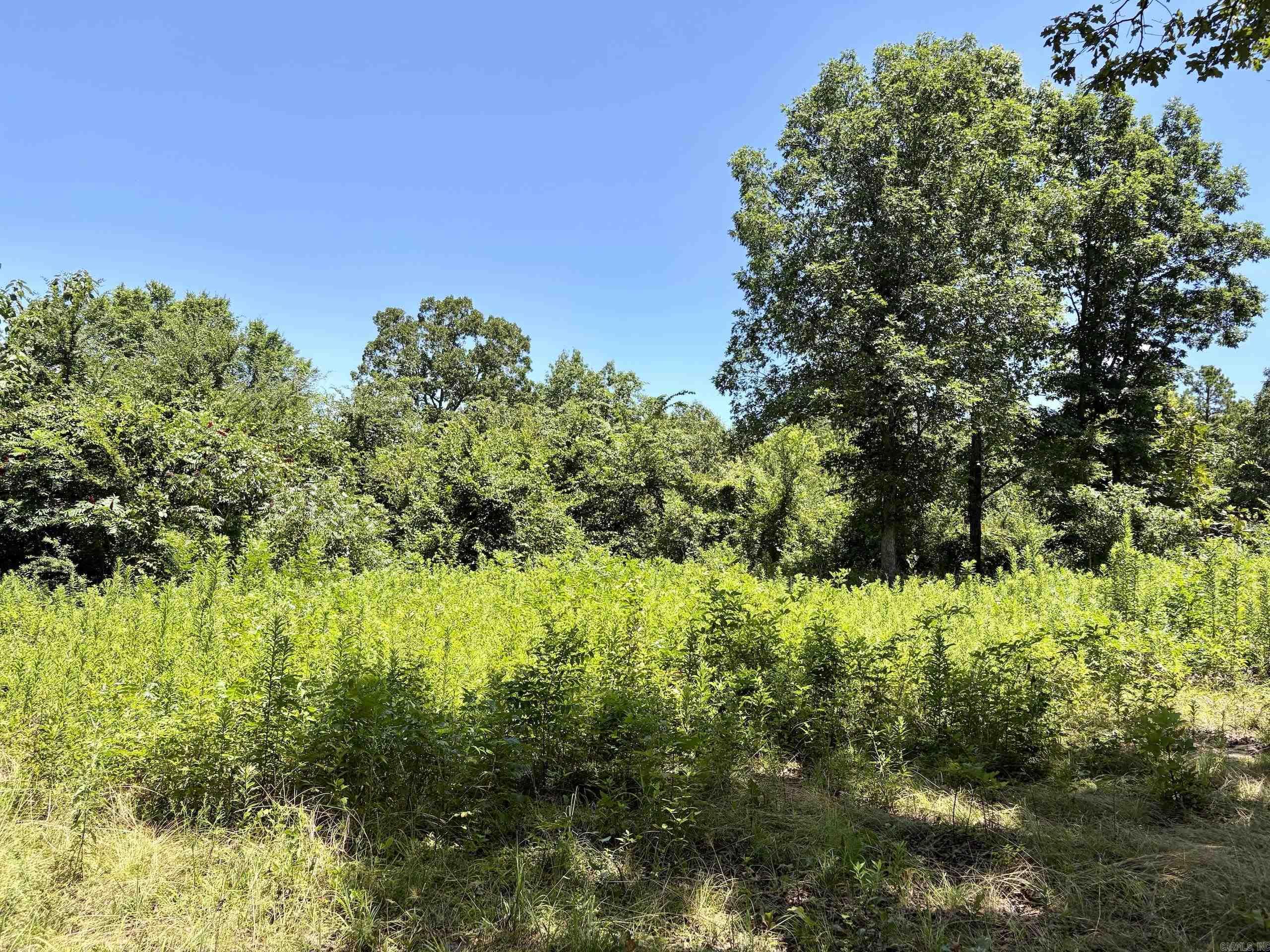 000 Hwy 28 Property Photo 34
