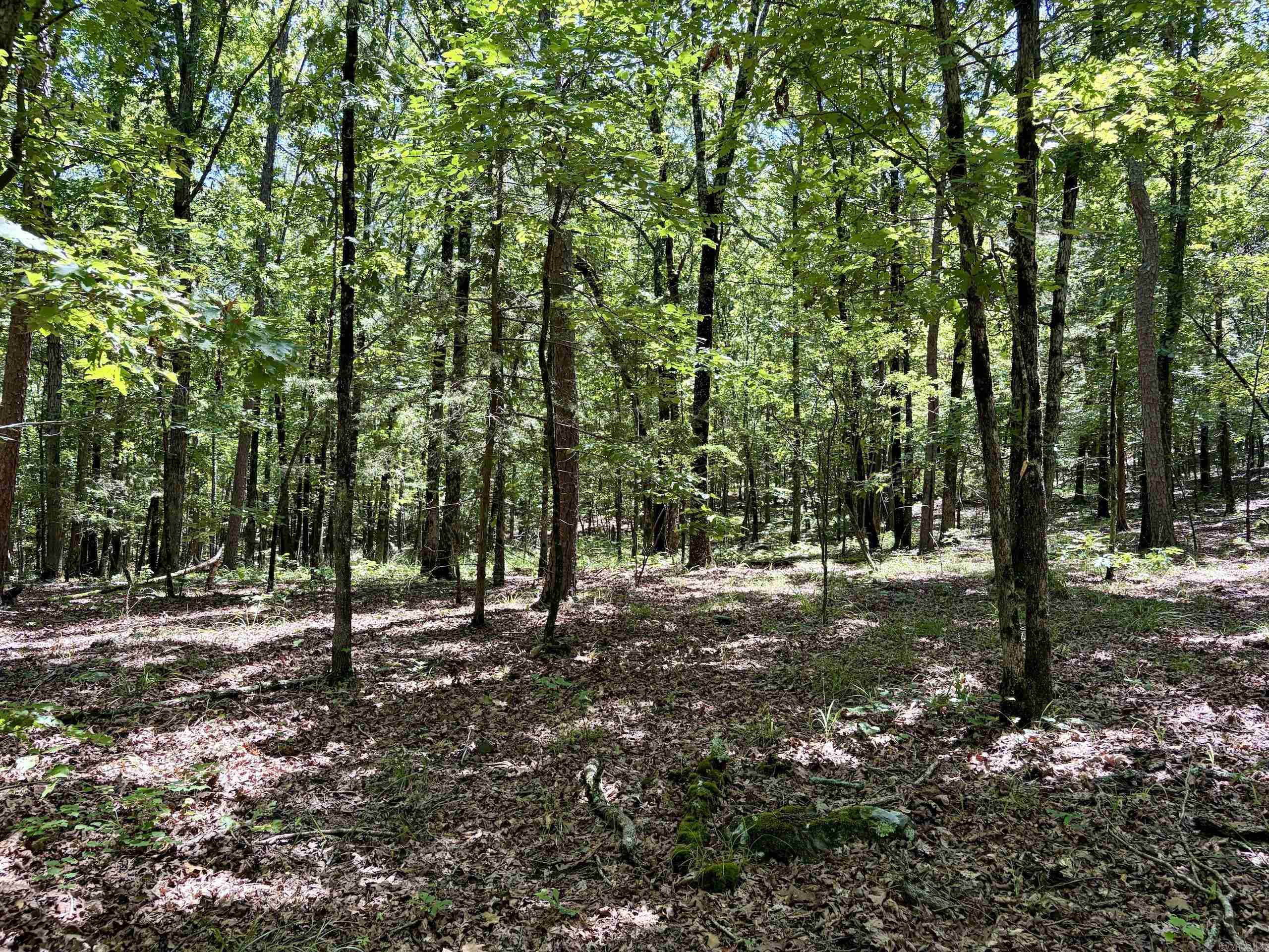 000 Hwy 28 Property Photo 36