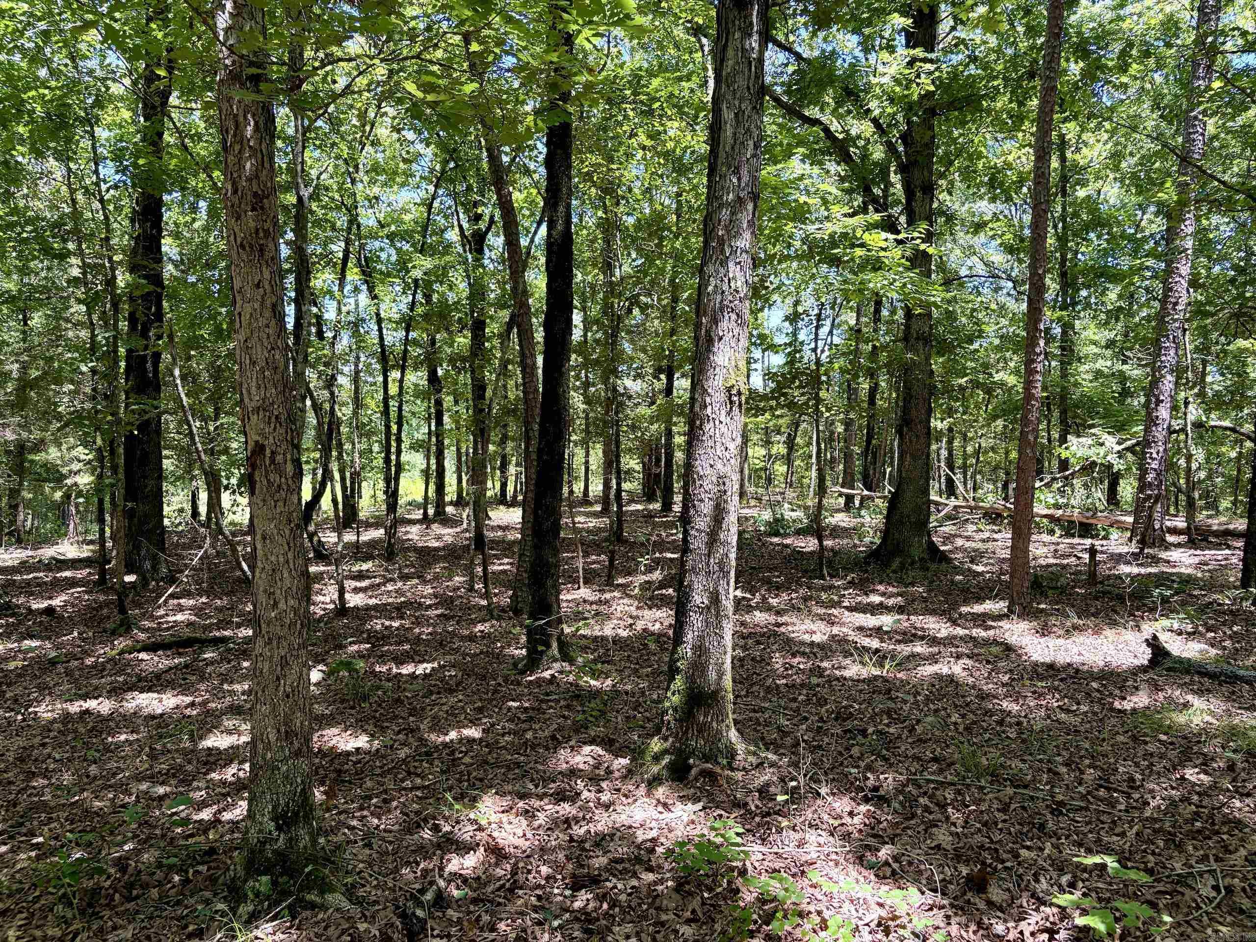 000 Hwy 28 Property Photo 37